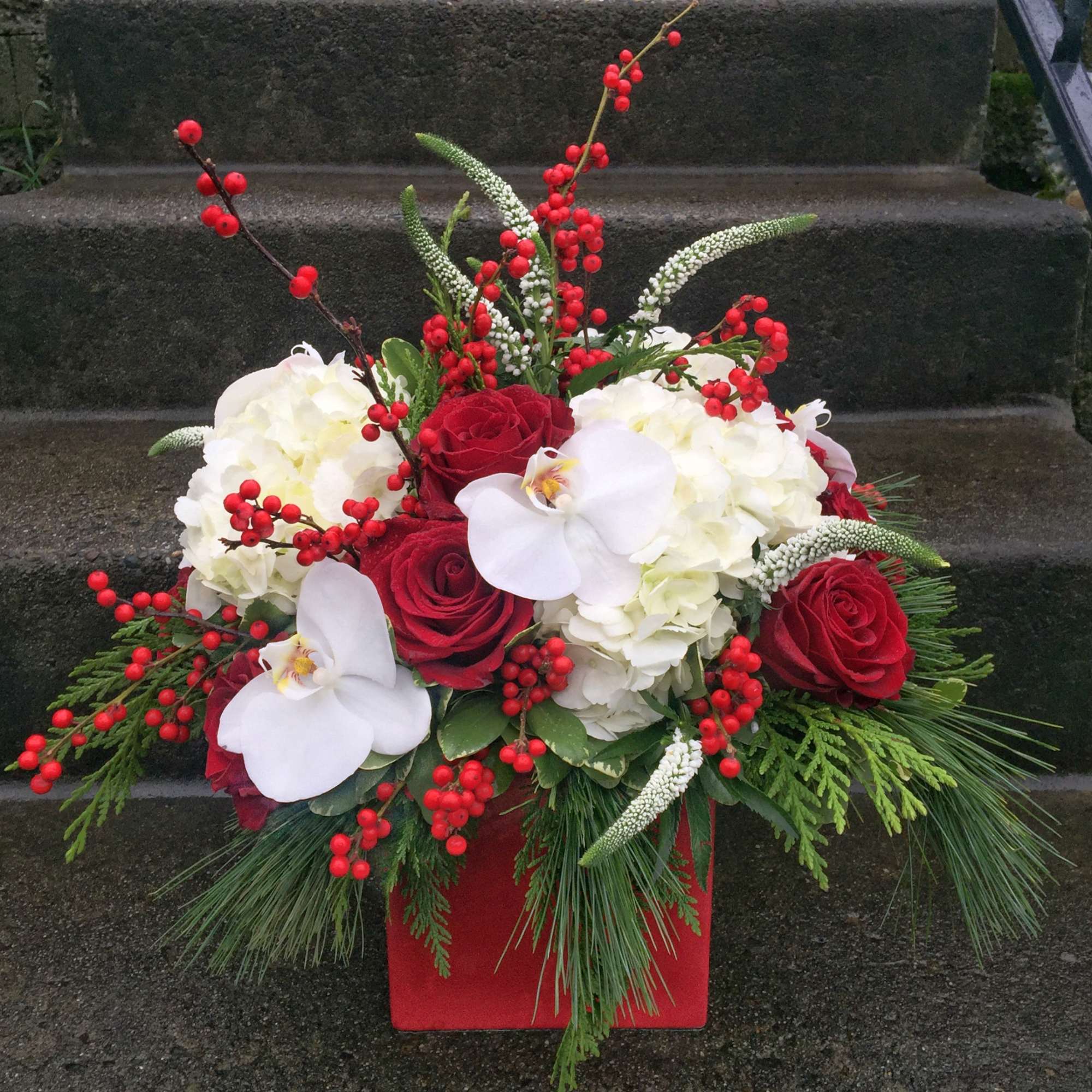 Available beginning December 3rd.

White Christmas is a holiday gift that is sure