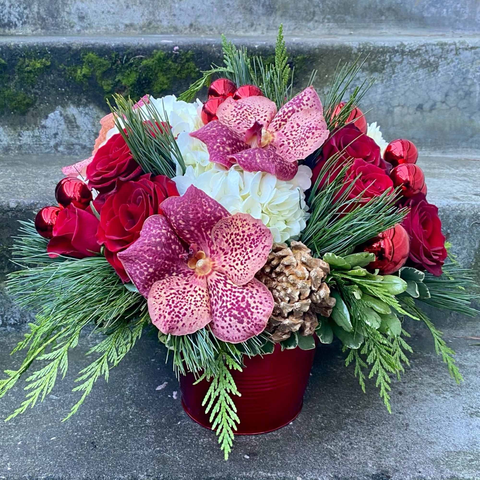 Available beginning December 3rd.

White Christmas is a holiday gift that is sure