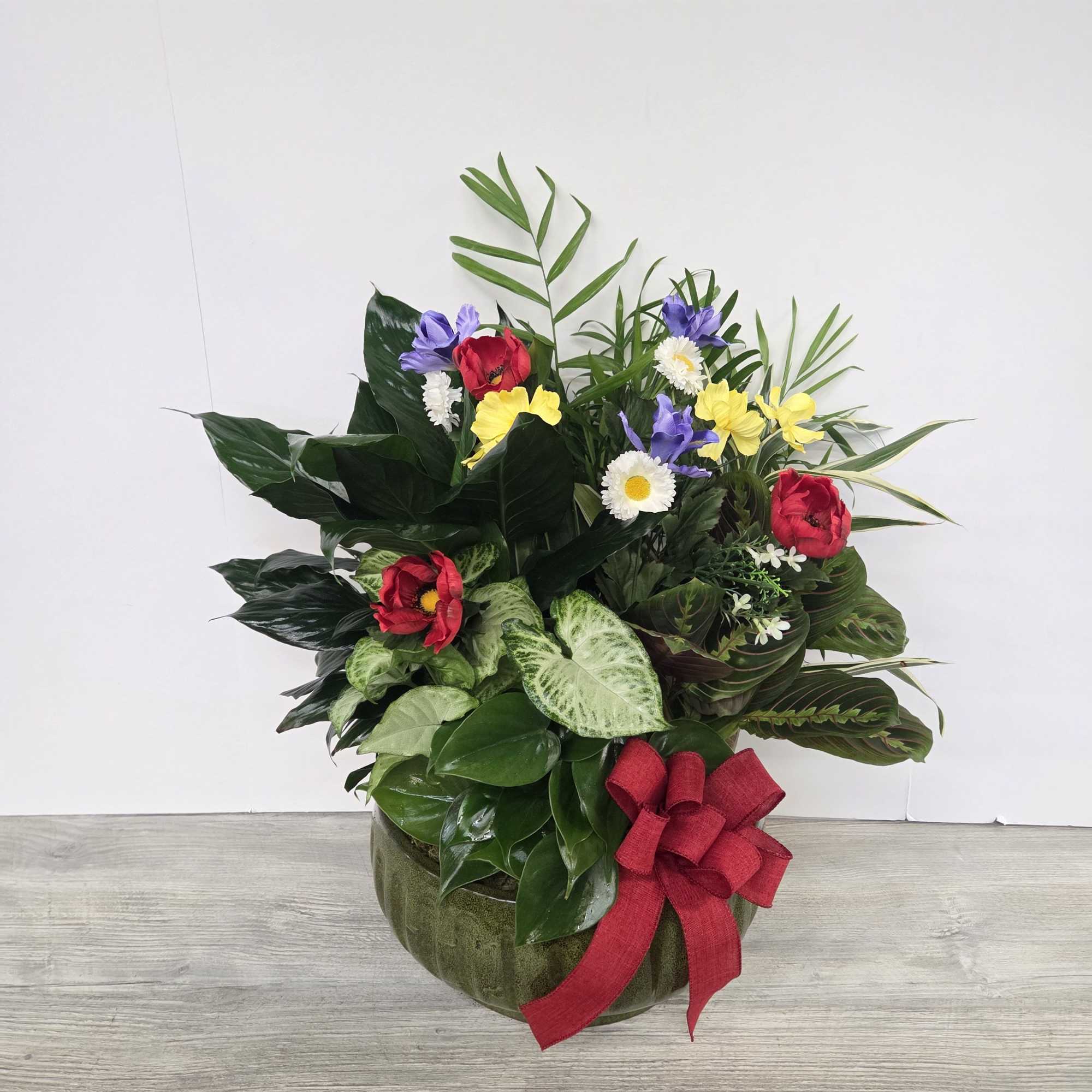 Dish garden of lush green plants with colorful flowers in a round pot with a red bow.