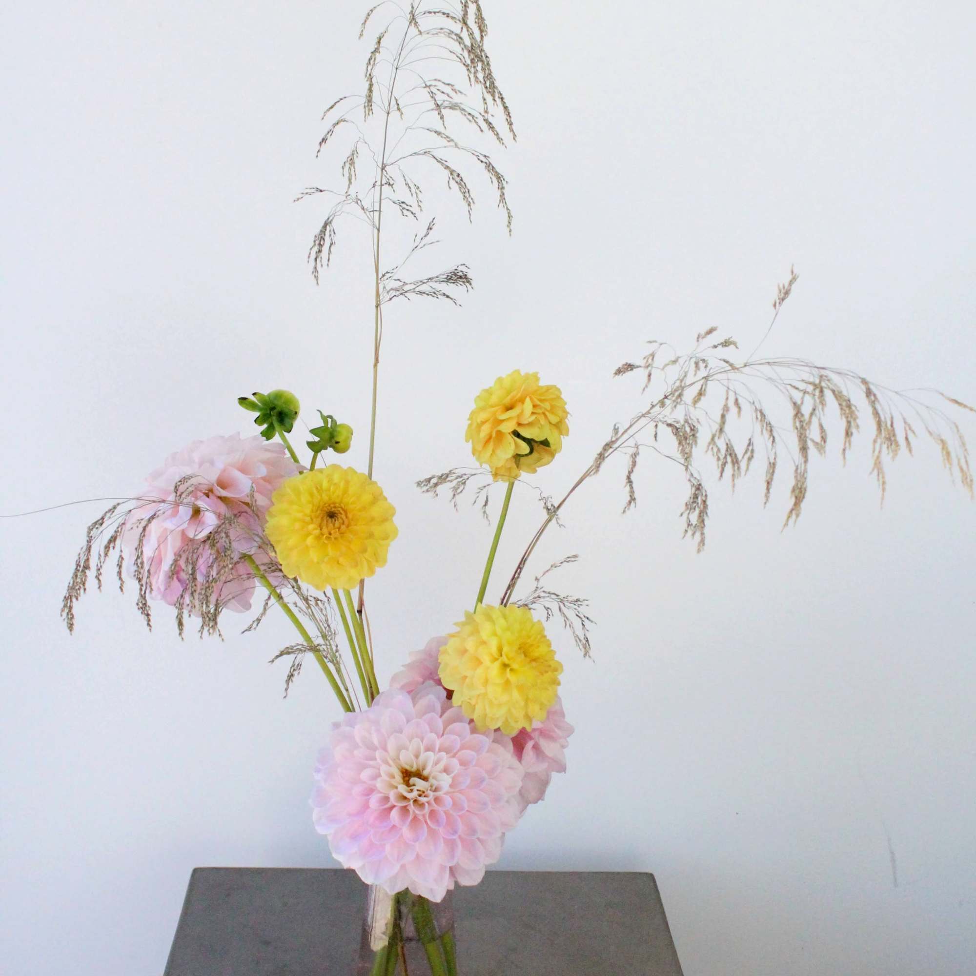 A highlight of gorgeous dahlias from local bay area farms-- a summer