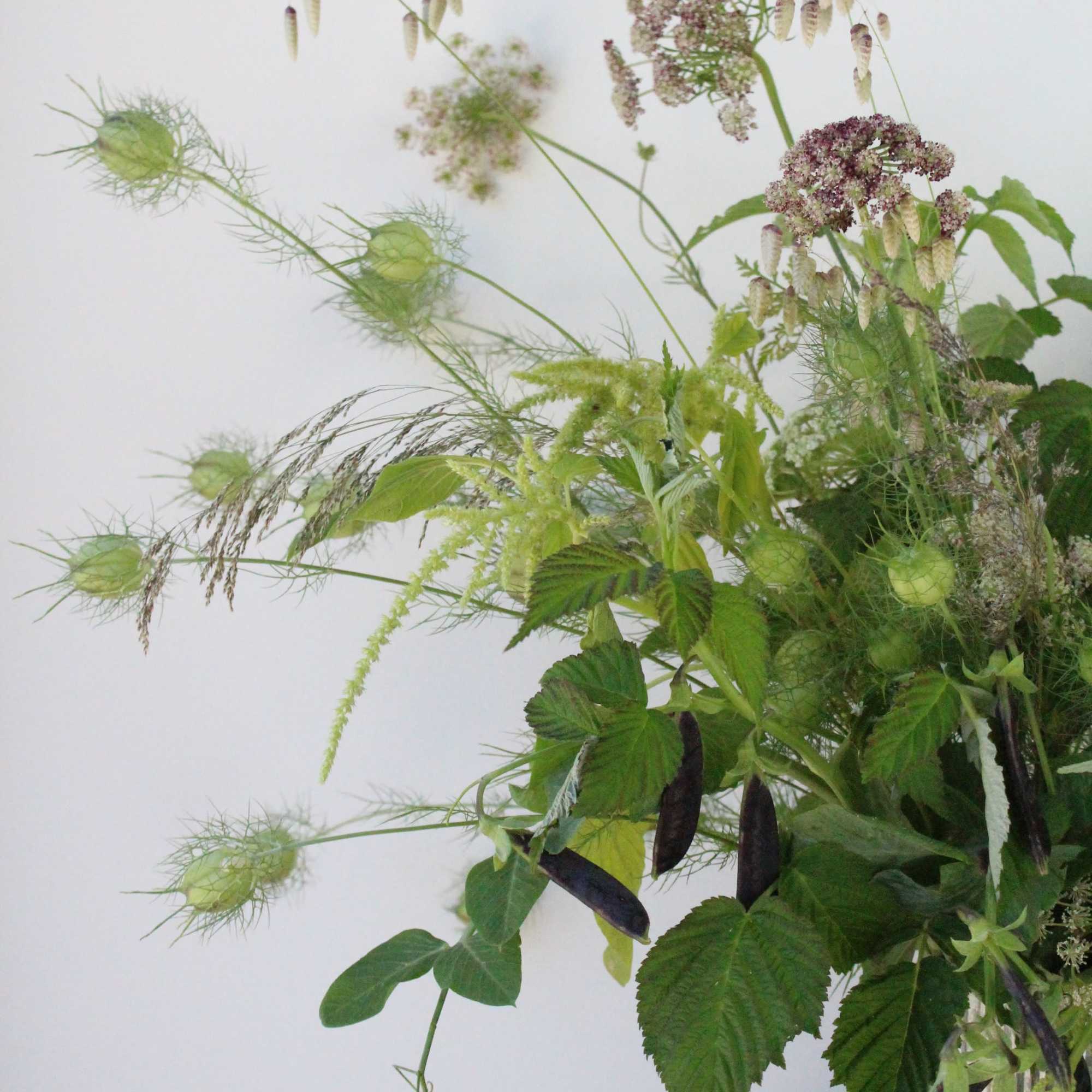 One of our favorites and it's long lasting too! This arrangement focuses