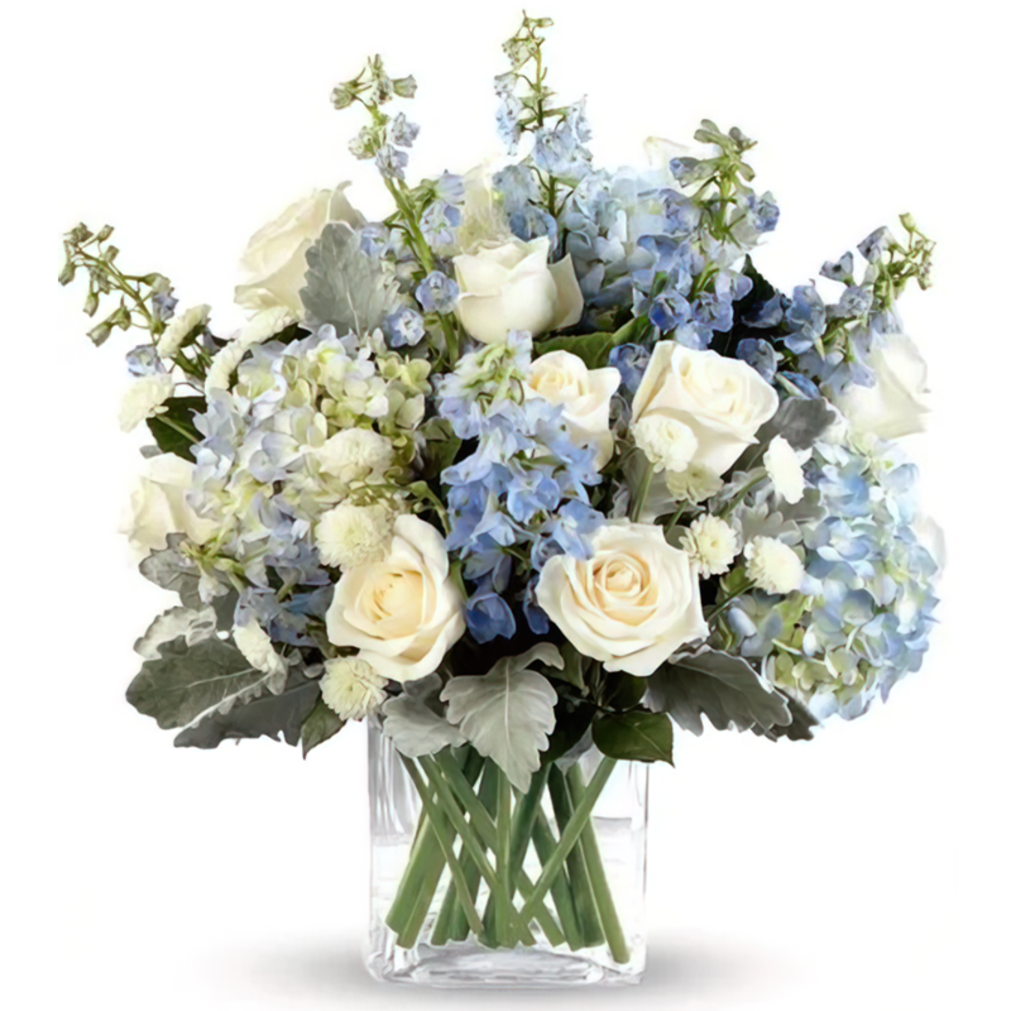 White roses with blue hydrangeas and delphinium arranged in a clear rectangular glass vase