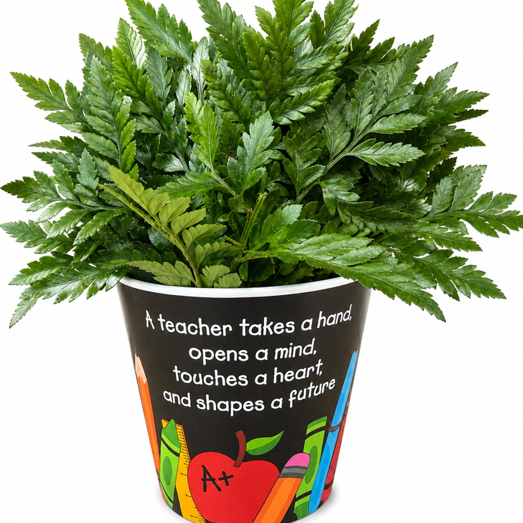 Celebrate the amazing teacher in your life with this cheerful keepsake arrangement!