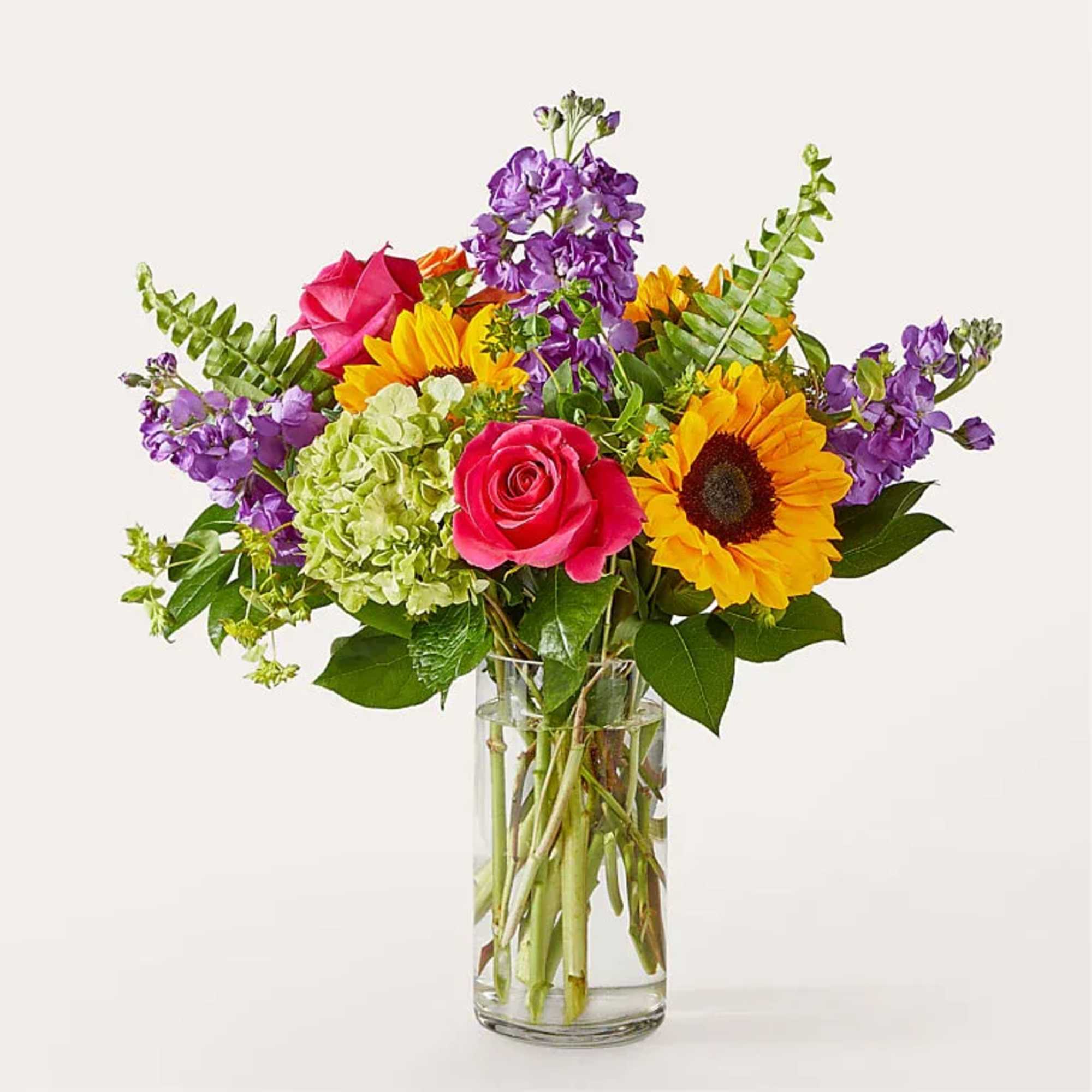 Feel the beauty and joy of the rainbow with this colorful gift.