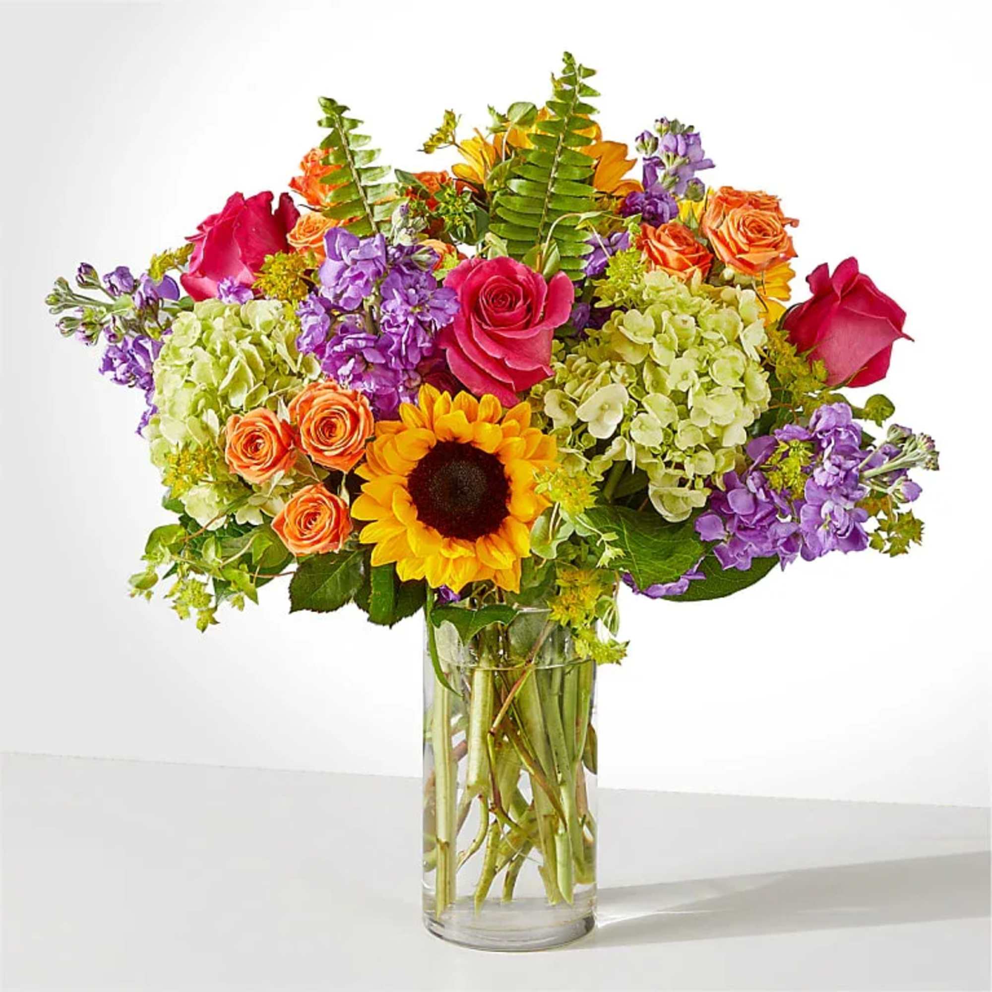 Feel the beauty and joy of the rainbow with this colorful gift.