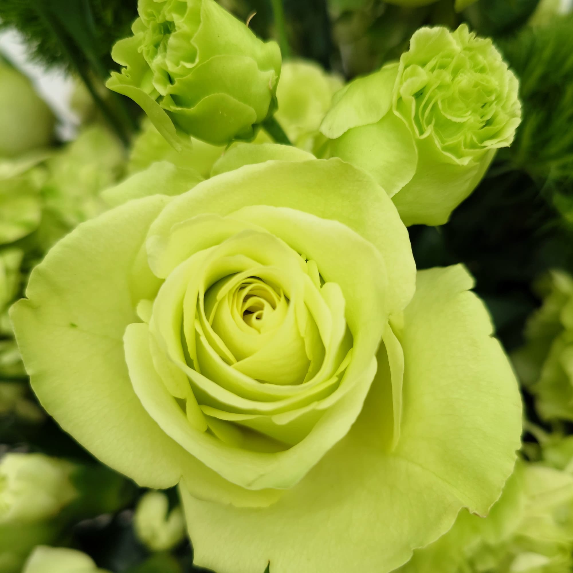 Lush, fresh, monochrome with premium blooms in shades of green.