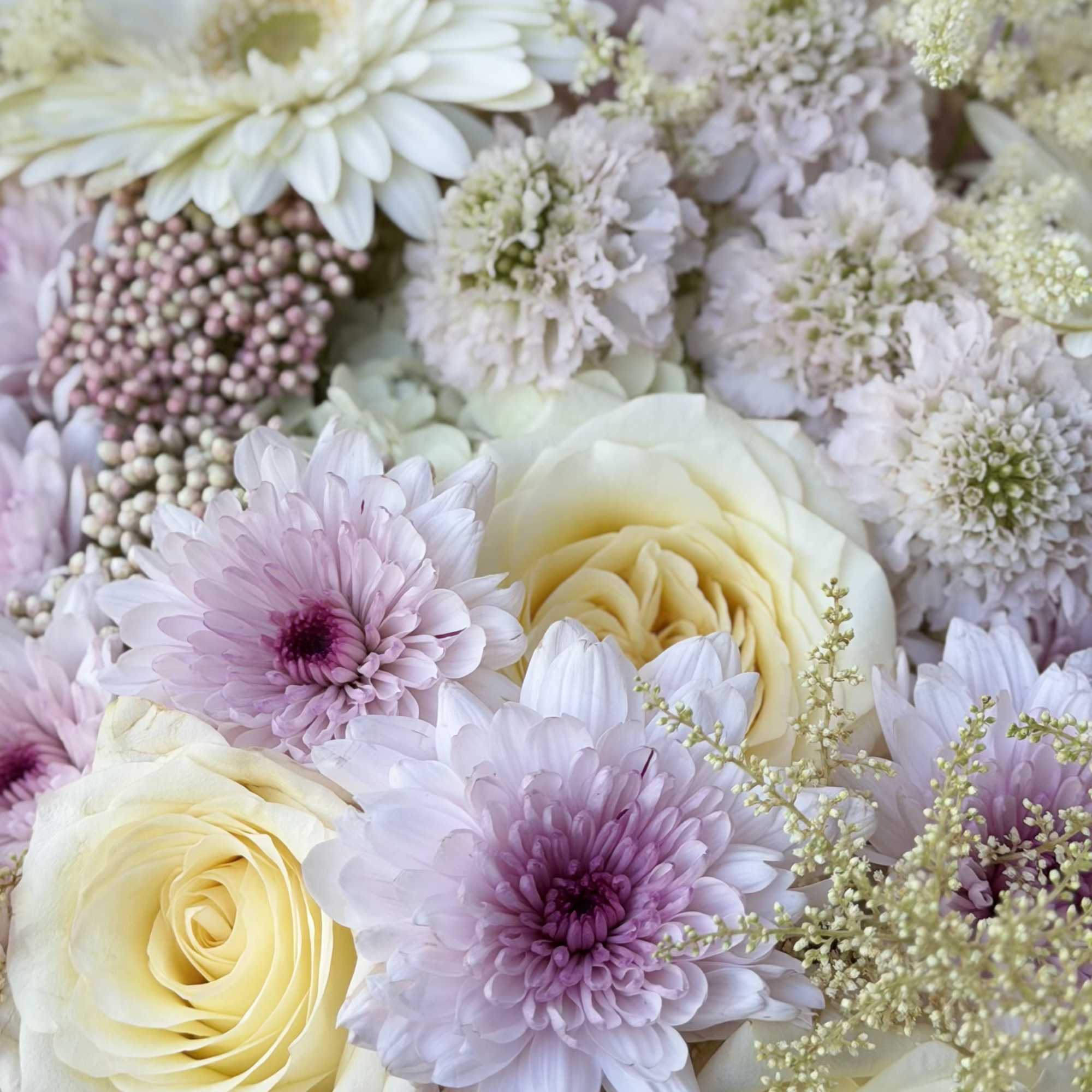 Creamy pale yellow and soft pink roses mingle with lavender and blush