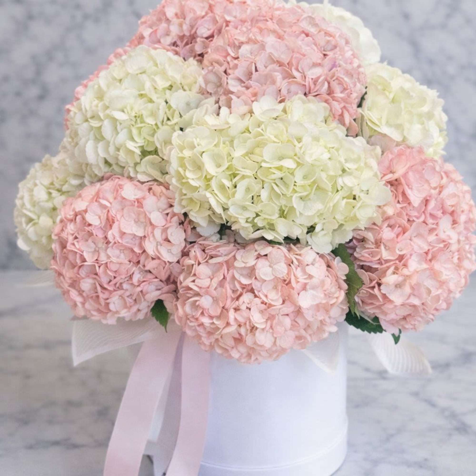 A luxurious arrangement of premium pink and white hydrangeas beautifully presented in