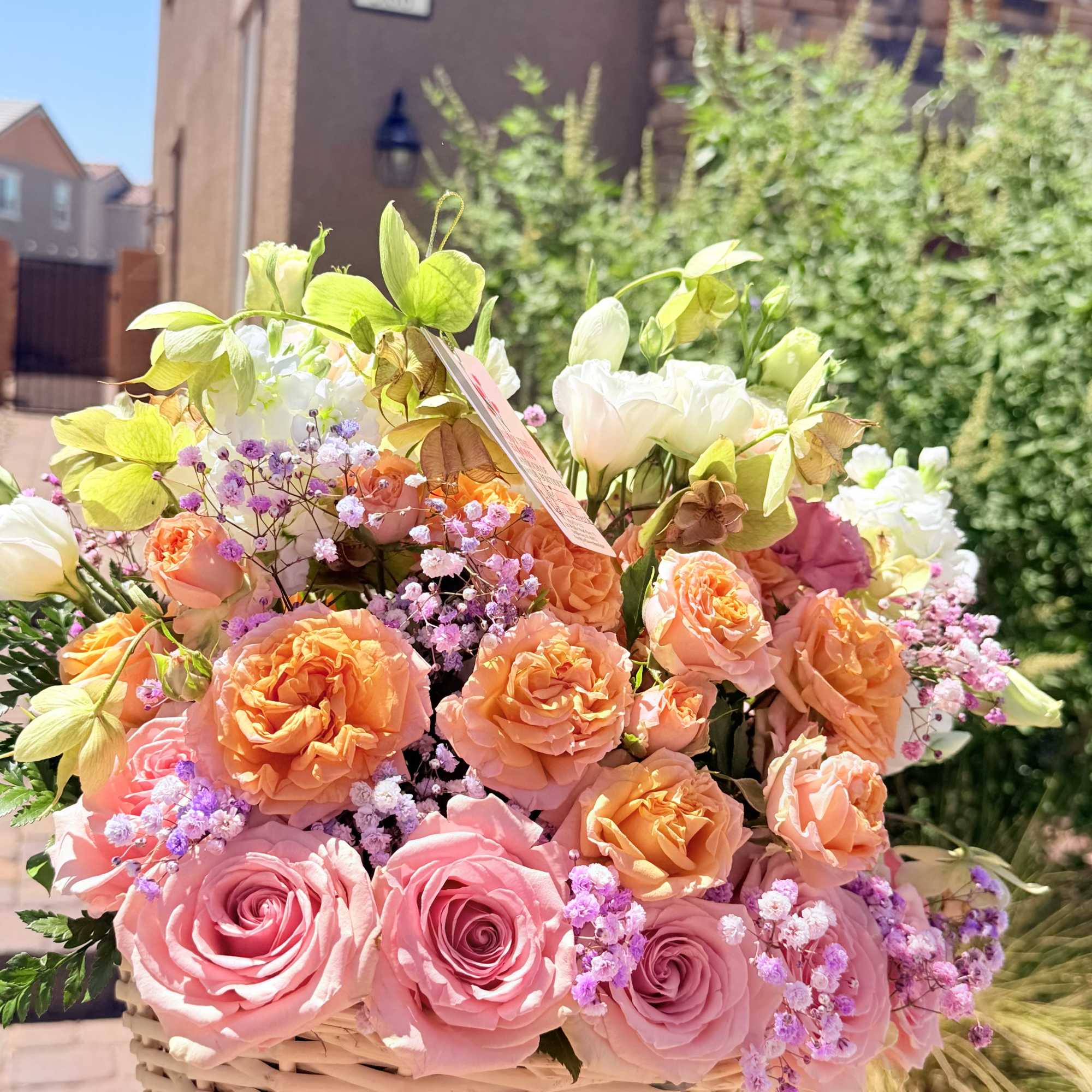 With its dreamy palette of blush, soft peach, and vibrant pink tones