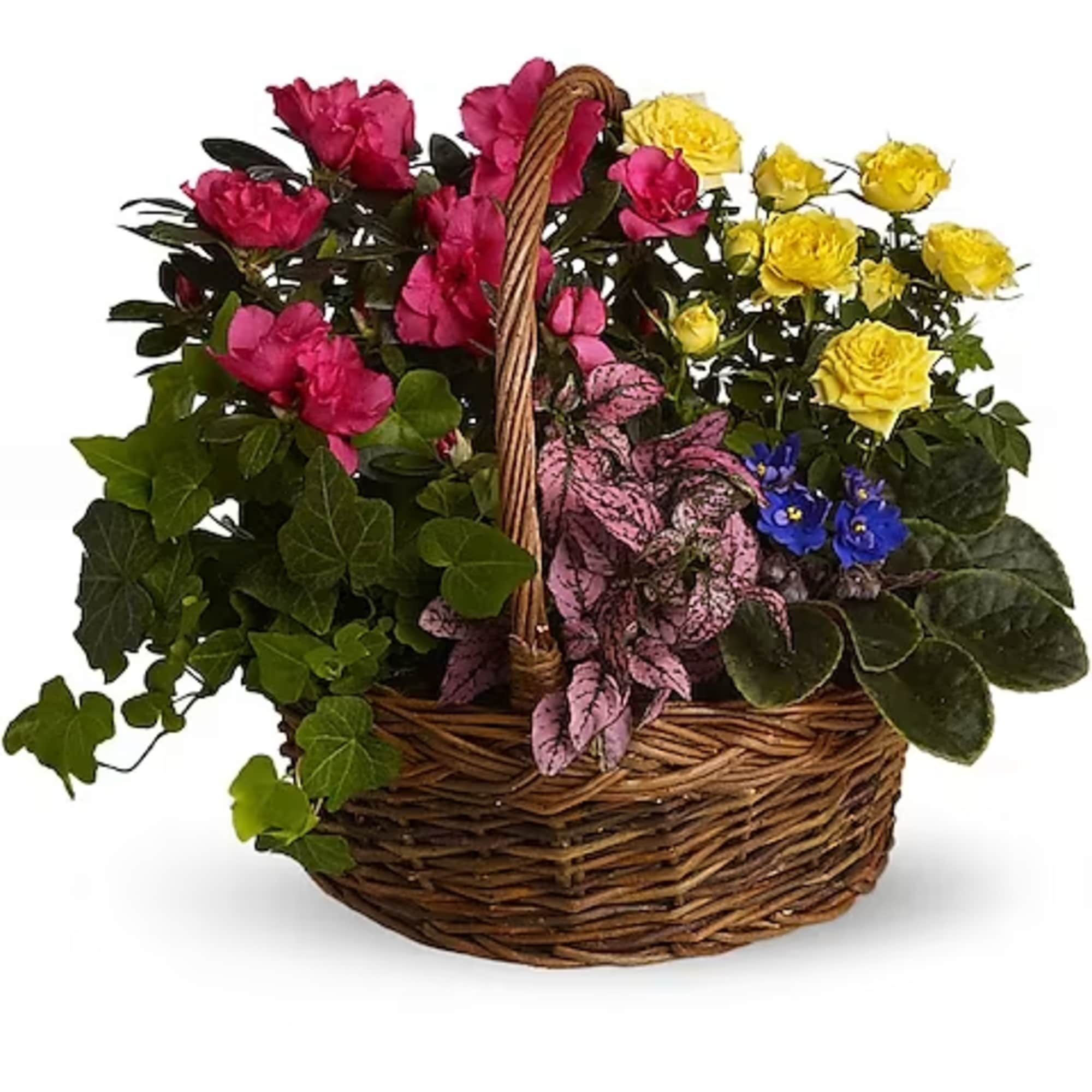 Basket of colorful potted flowers with ivy and a woven handle