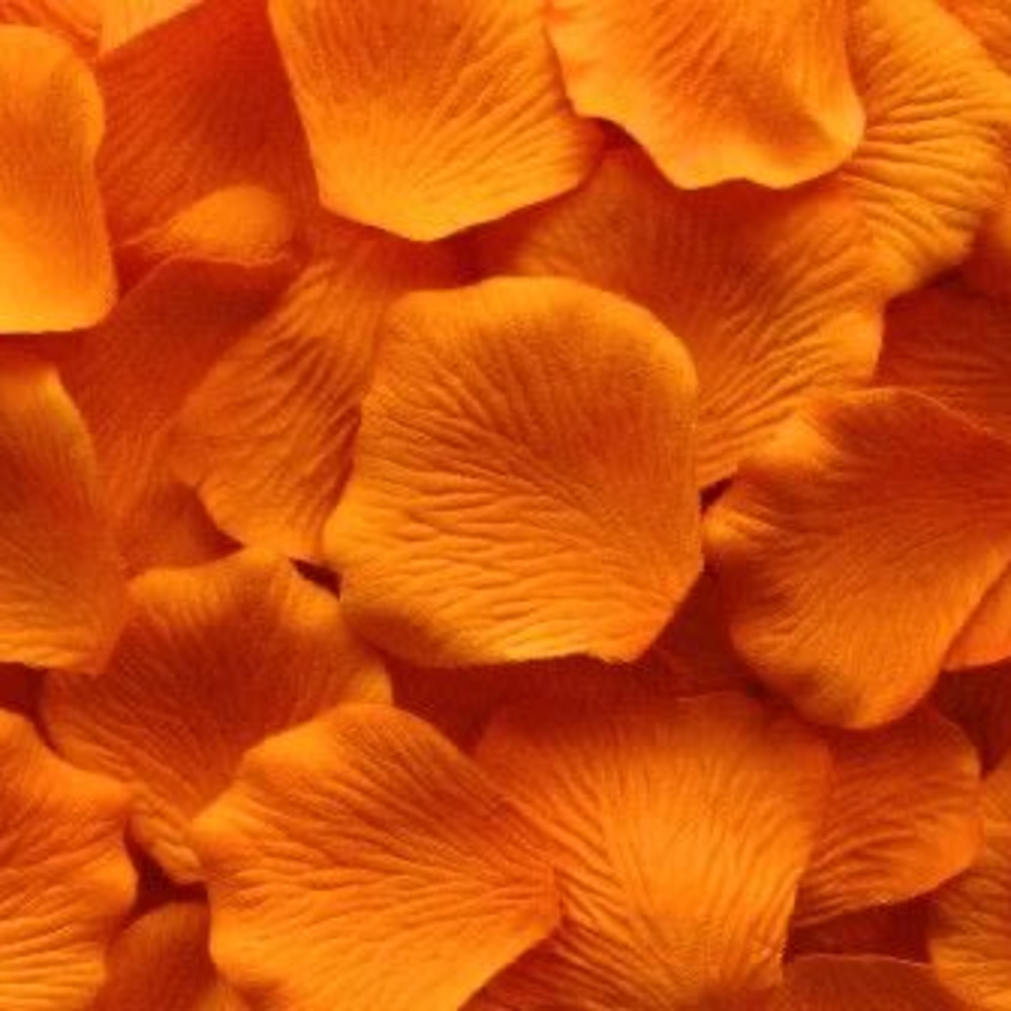 Close-up of overlapping orange flower petals