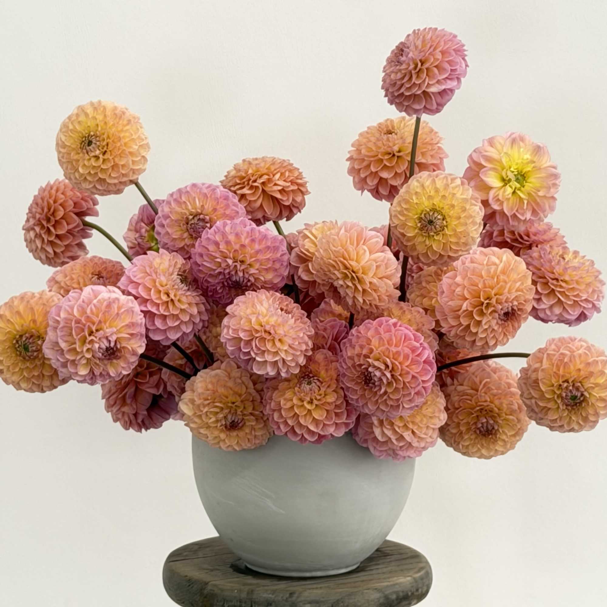 Calling all dahlia lovers!  This seasonal summer arrangement can come in