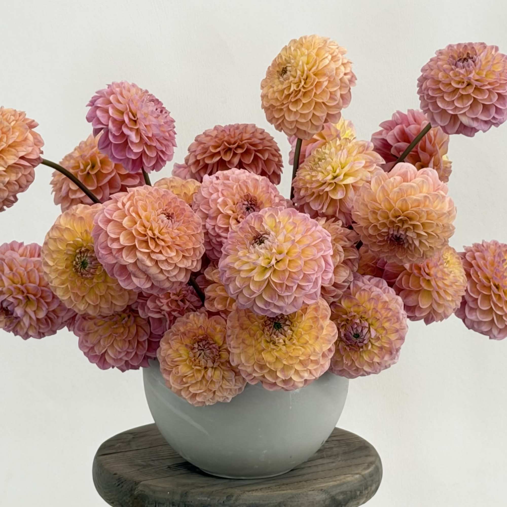 Calling all dahlia lovers!  This seasonal summer arrangement can come in