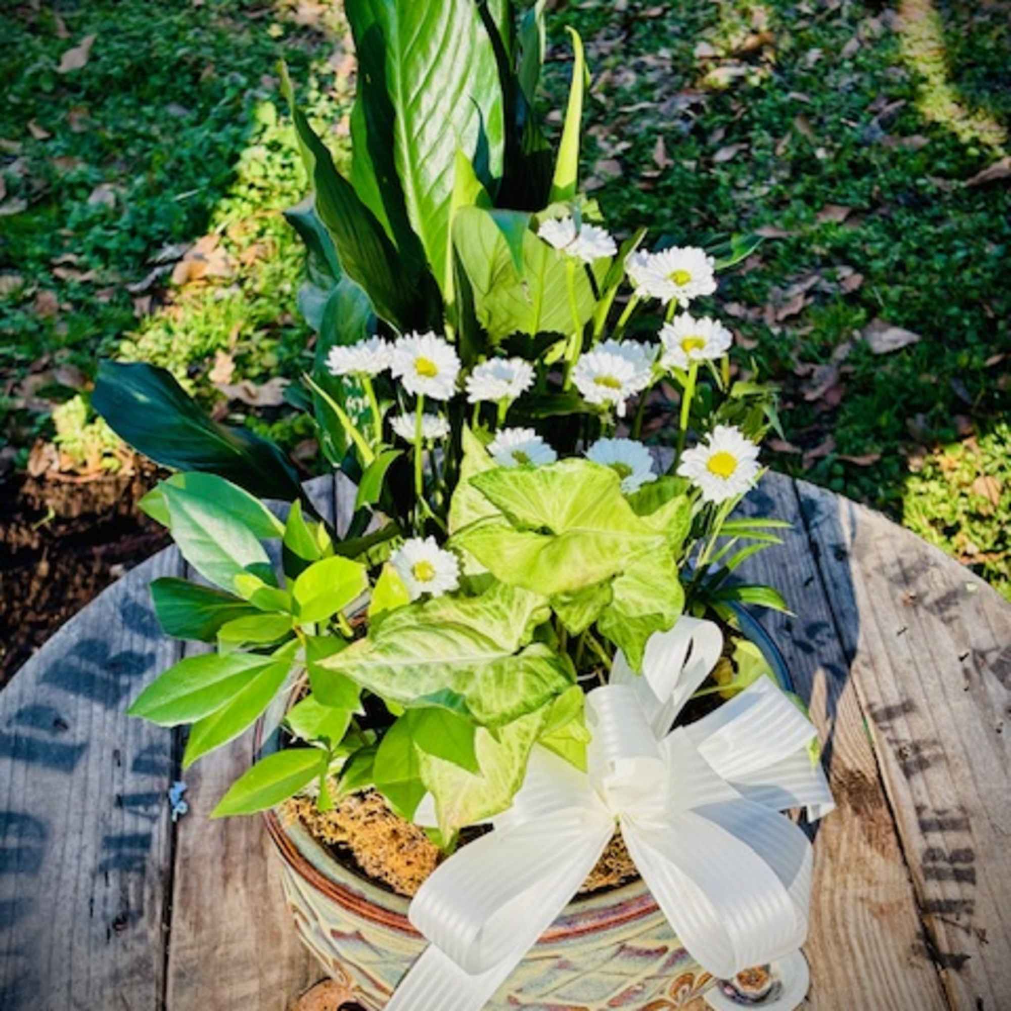 A tropical plant basket is an easy way to warm up any