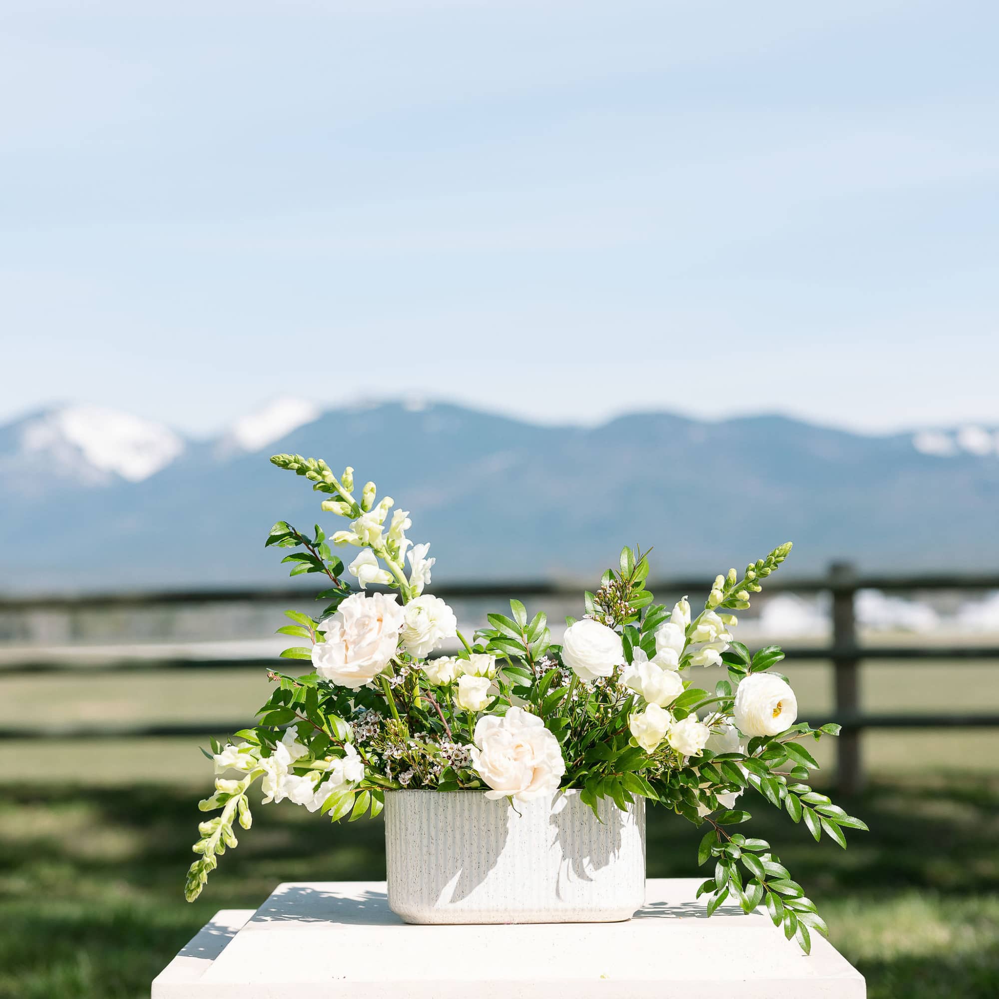 Low white ceramic centerpiece with white flowers arranged outdoors against mountain scenery