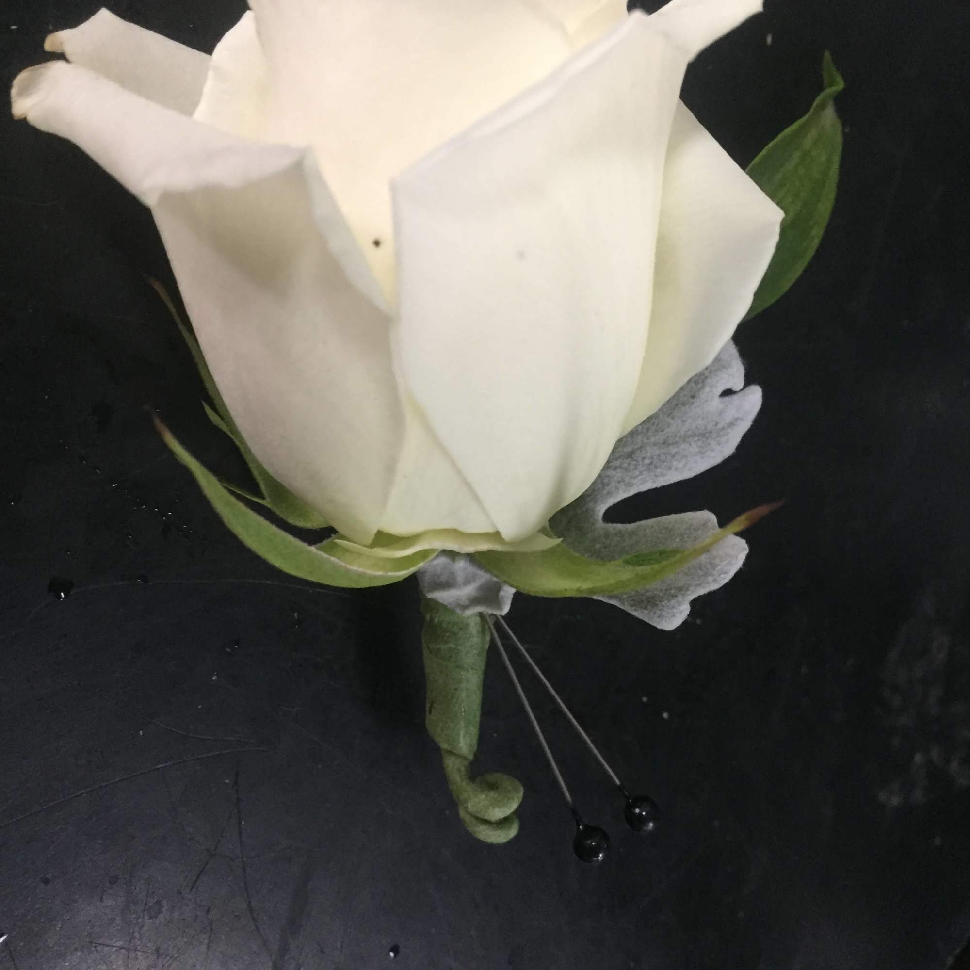 White rose boutonniere with green accents on a dark background