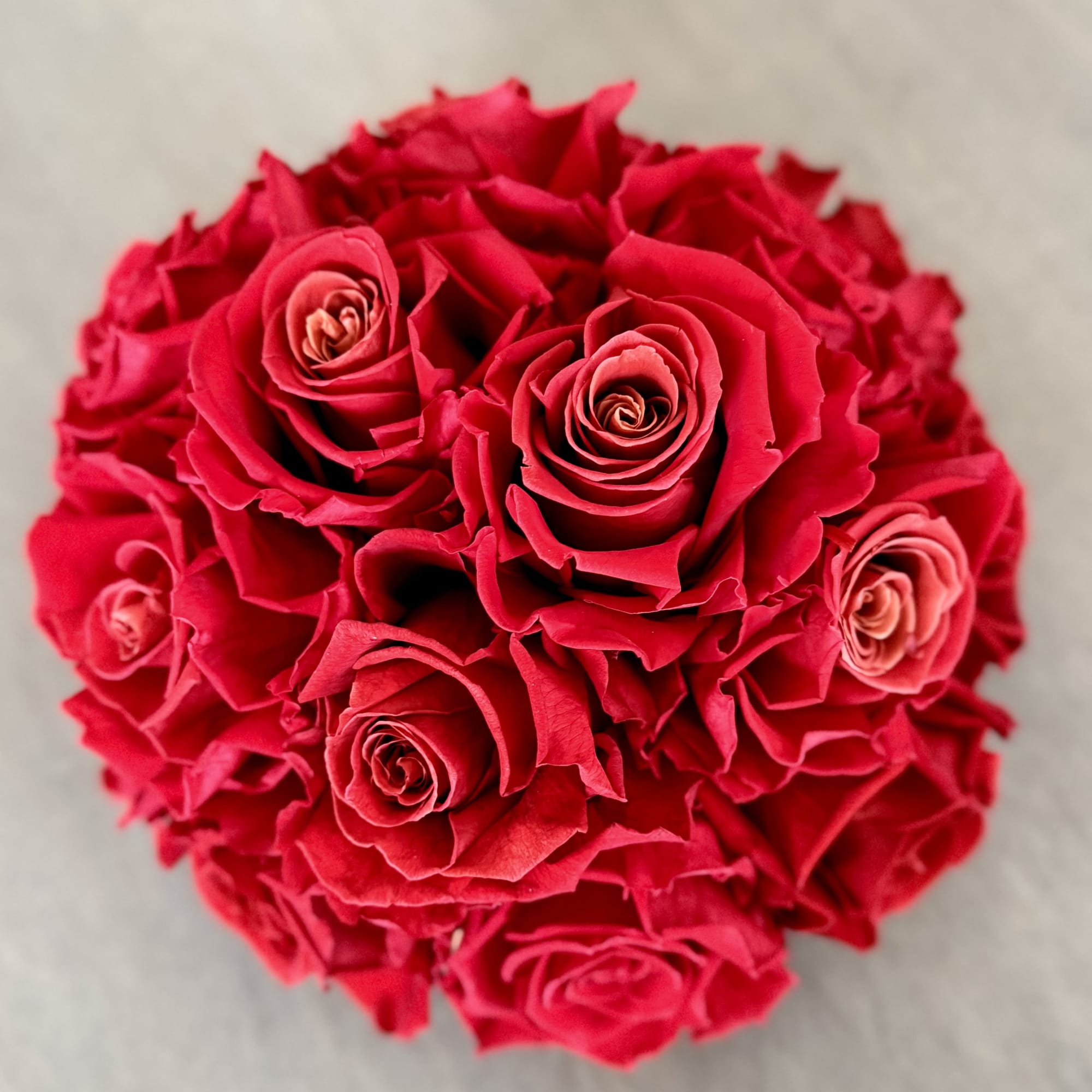 Round bouquet of red roses on a neutral background