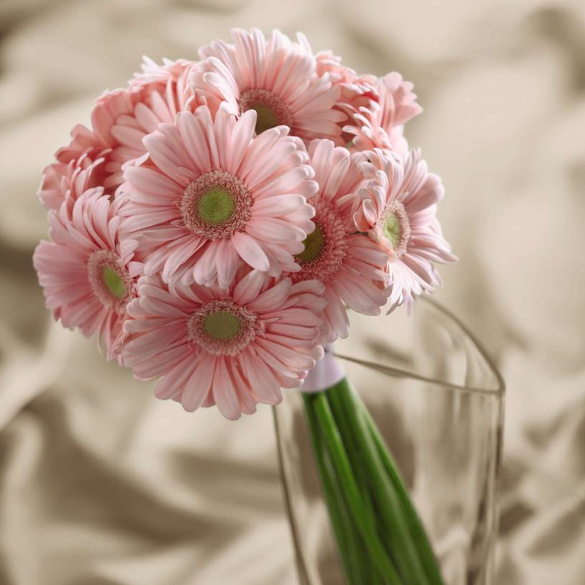 【Deisy@LBS】 Savile Clliford ダブル FTD Daisy Delight Bouquet in Frederick, MD | Amour Flowers