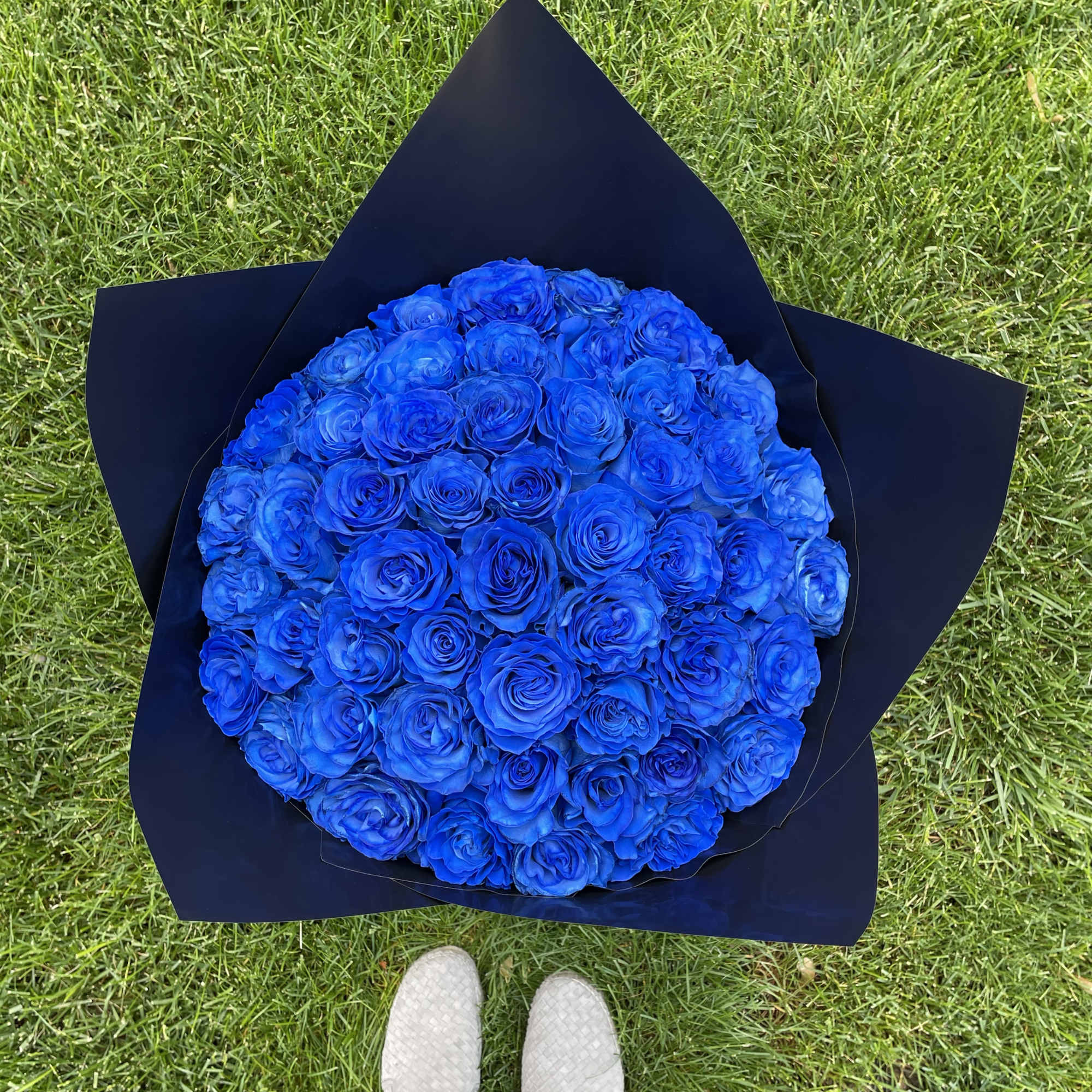 Large bouquet of vivid blue roses wrapped in dark paper