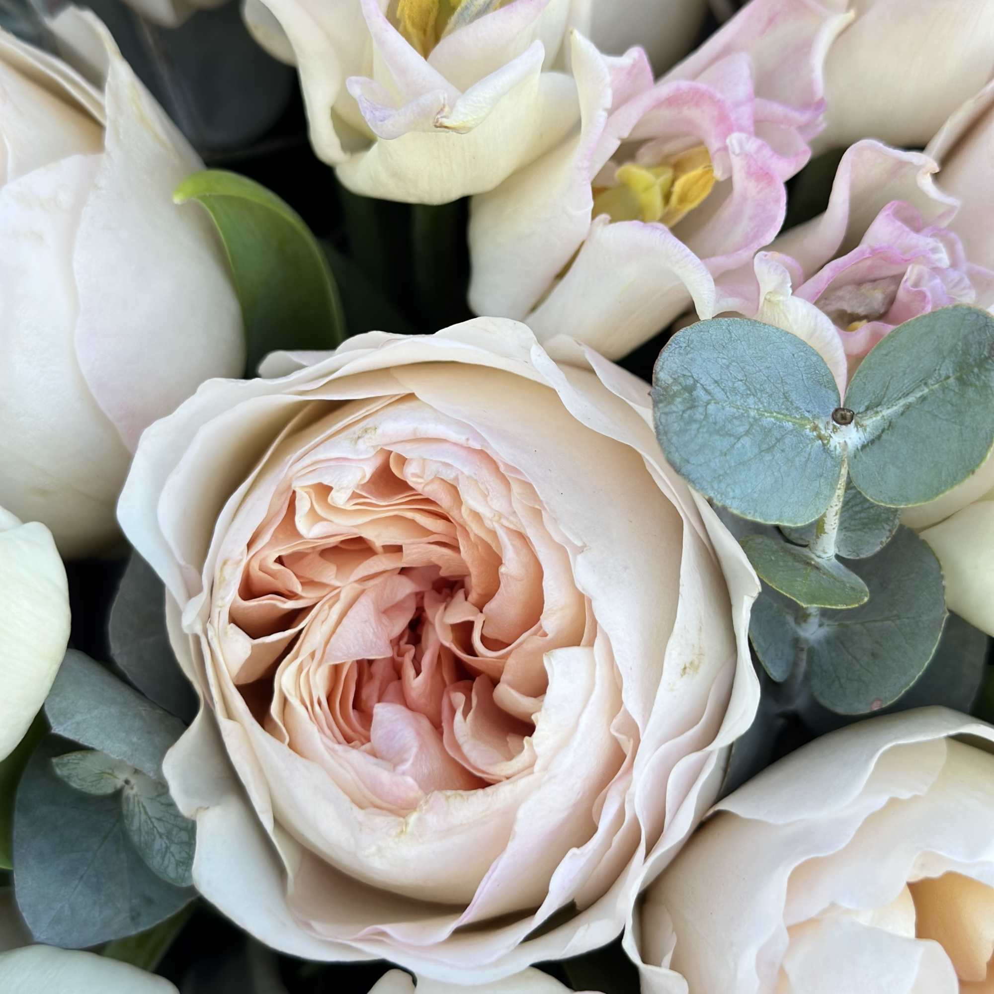 Close-up bouquet of pale pink roses and white tulips with blue-green foliage