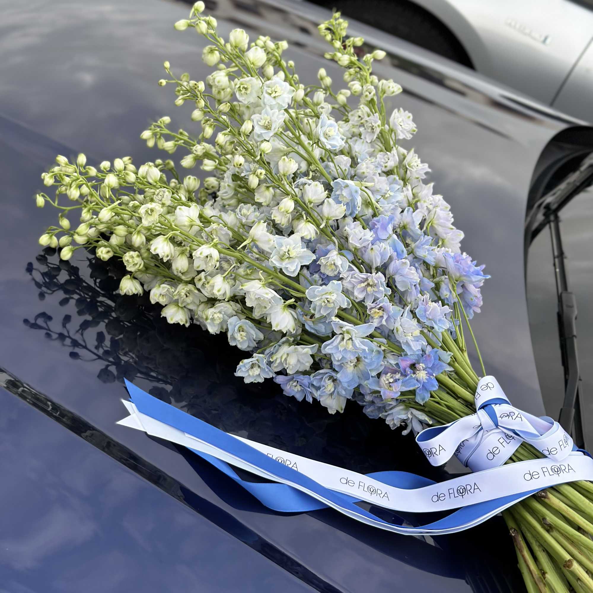 Bundle of pale blue and white delphinium stems with a ribbon tie