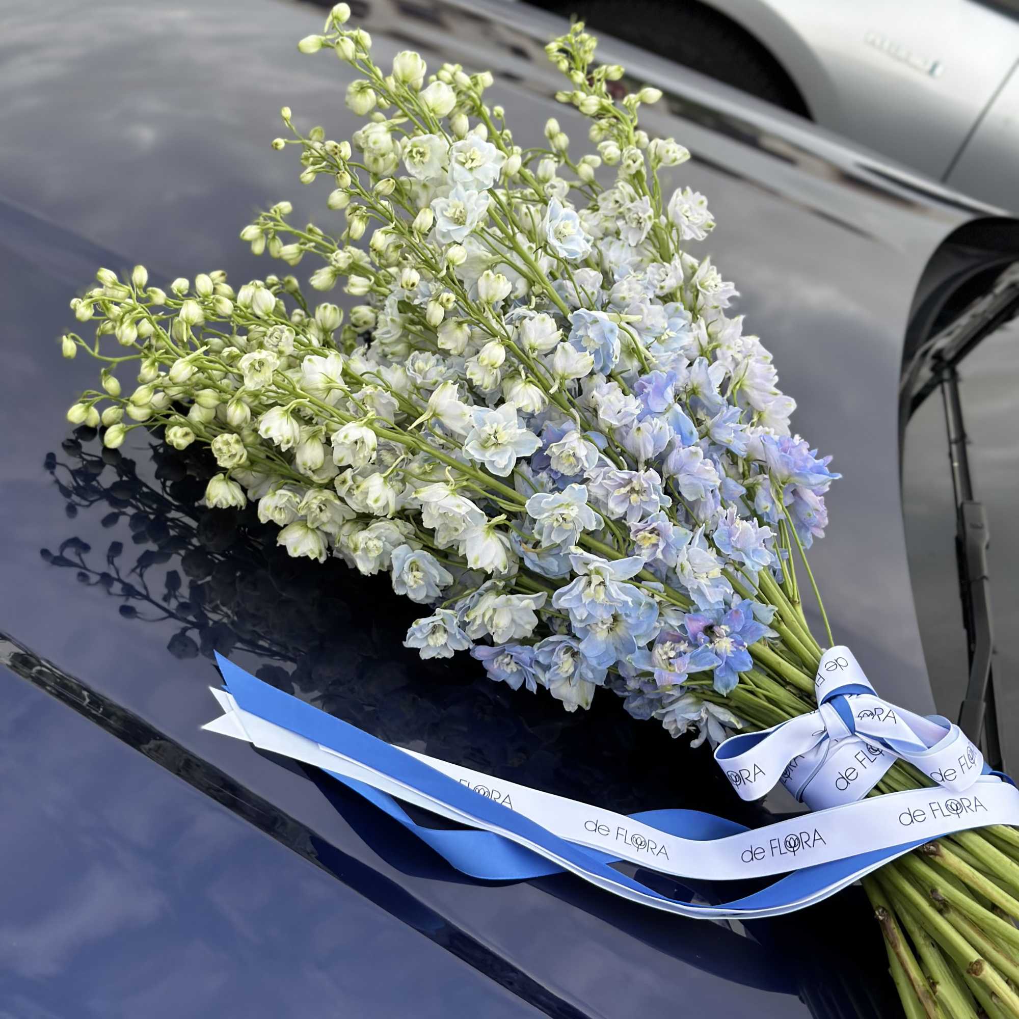 Bouquet of pale blue and white delphinium tied with blue ribbon