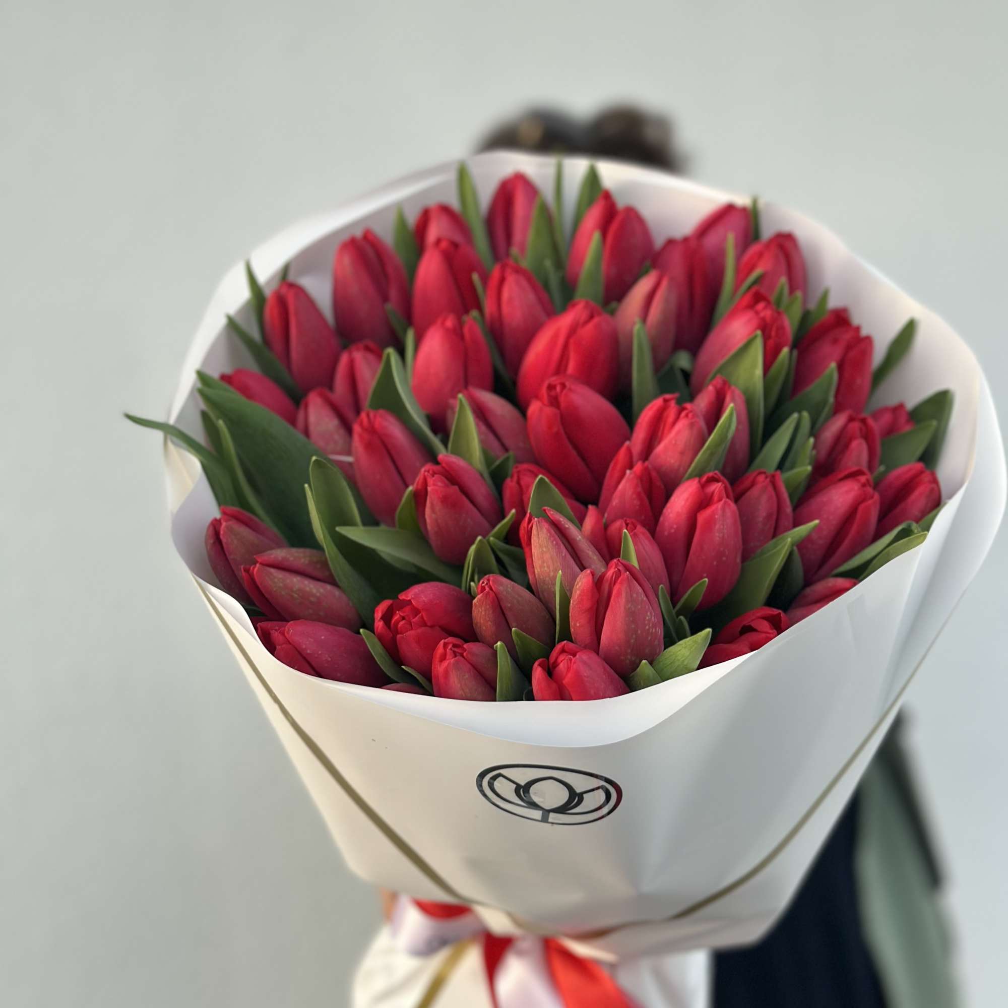 Bouquet of red tulips wrapped in white paper