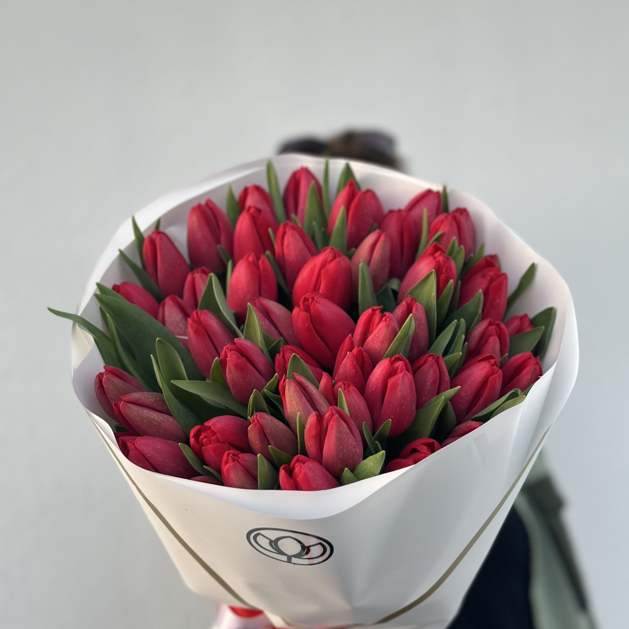 Bouquet of red tulips wrapped in white paper, photo 2 of 3