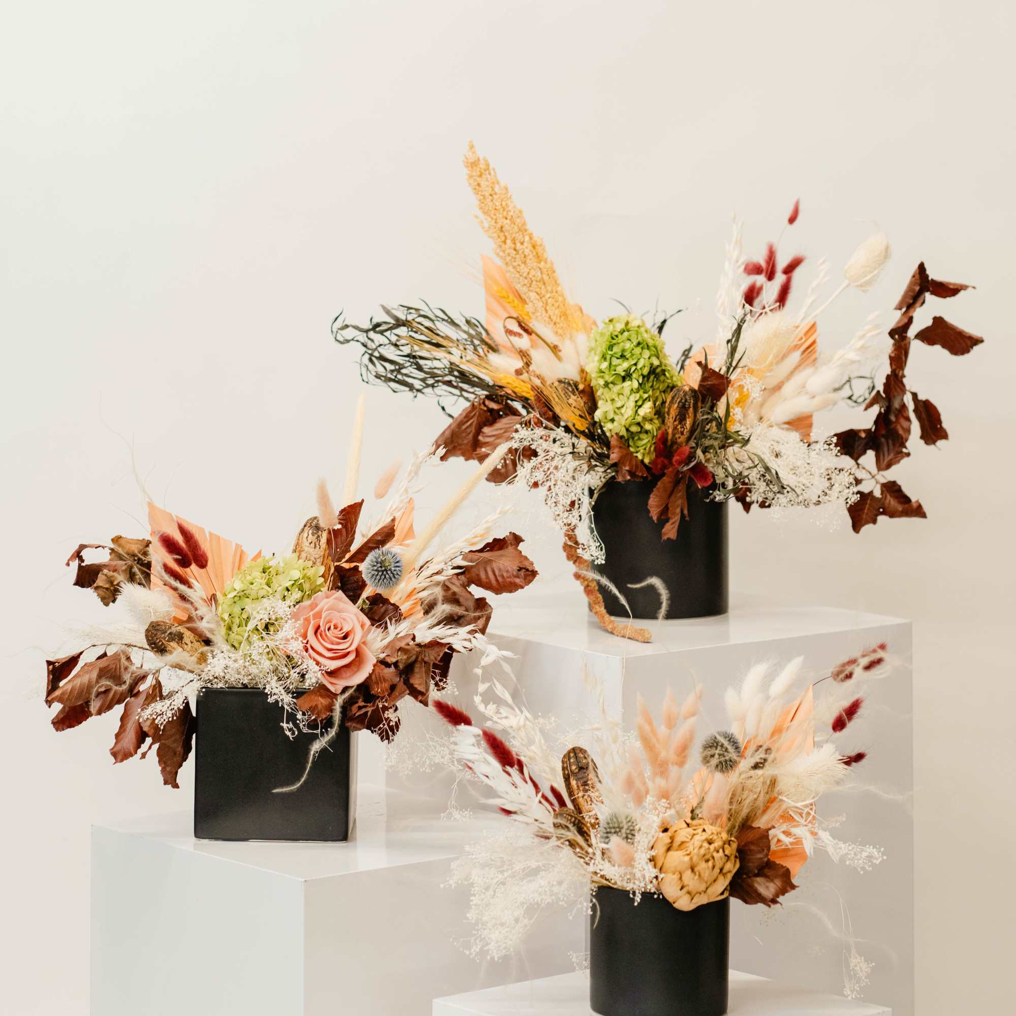 Three dried floral arrangements in black vases on white pedestals
