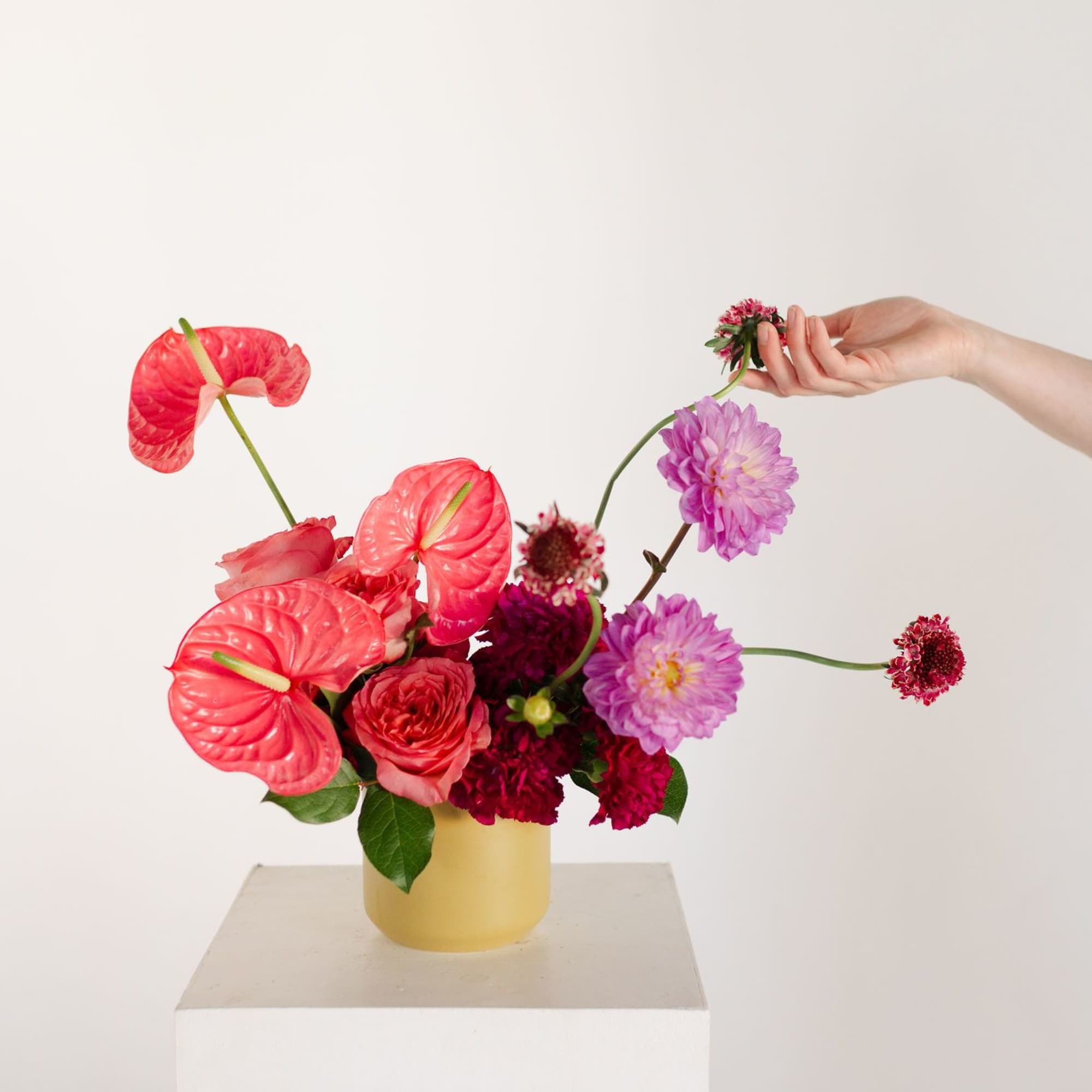 A whimsical, modern, sculptural design featuring bright, tropical anthuriums, premium textured dahlias