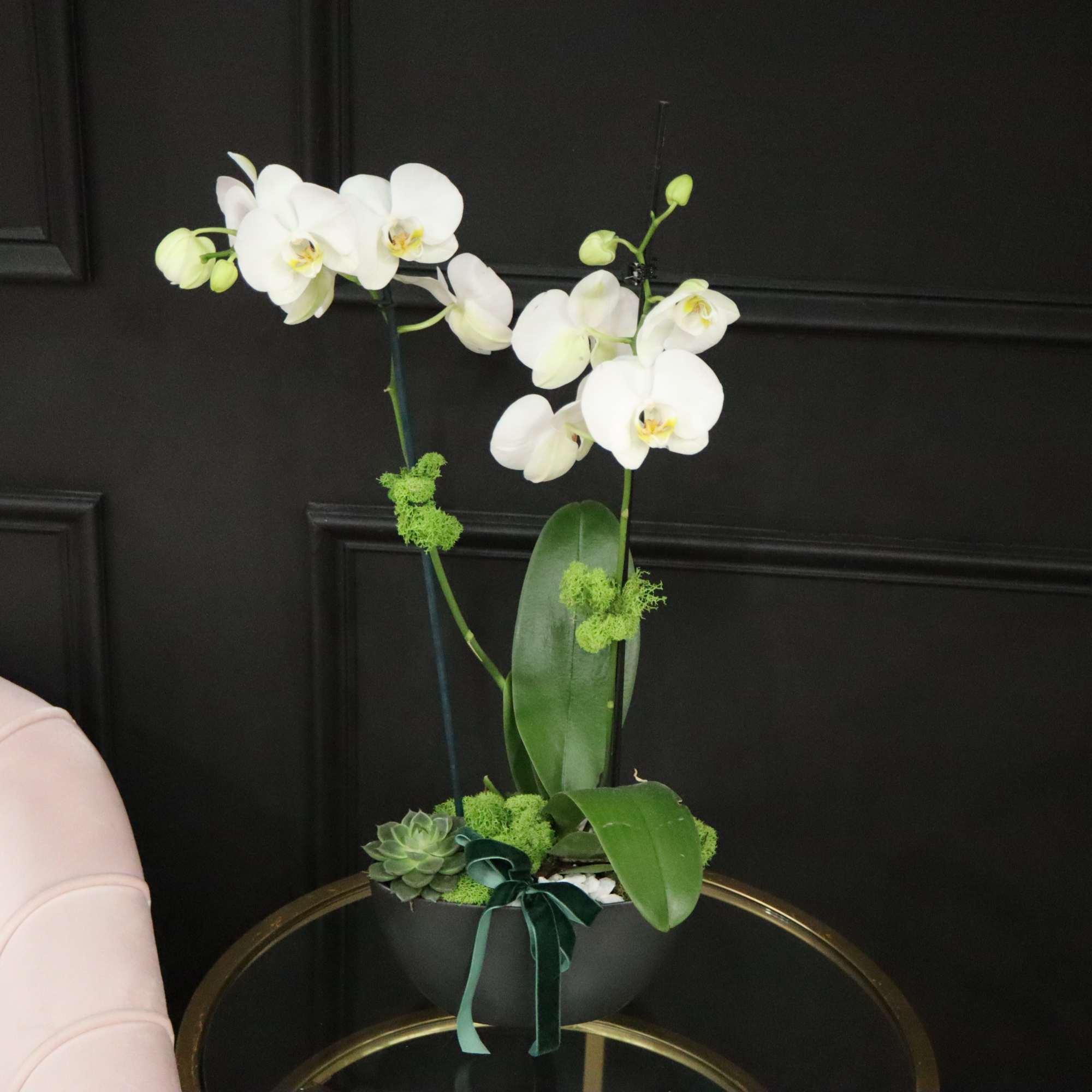 A beautiful mix of white orchid with succulent plant, comes in a