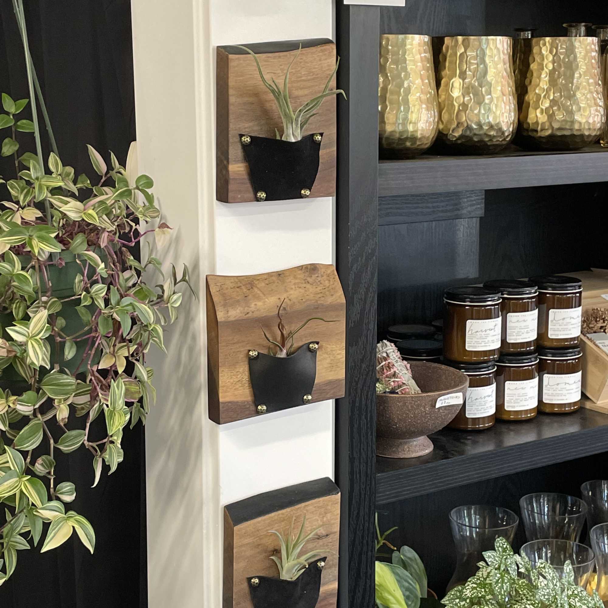 Set of three wall-mounted wood plaques with air plants in black pockets beside shelves of candles and plants.