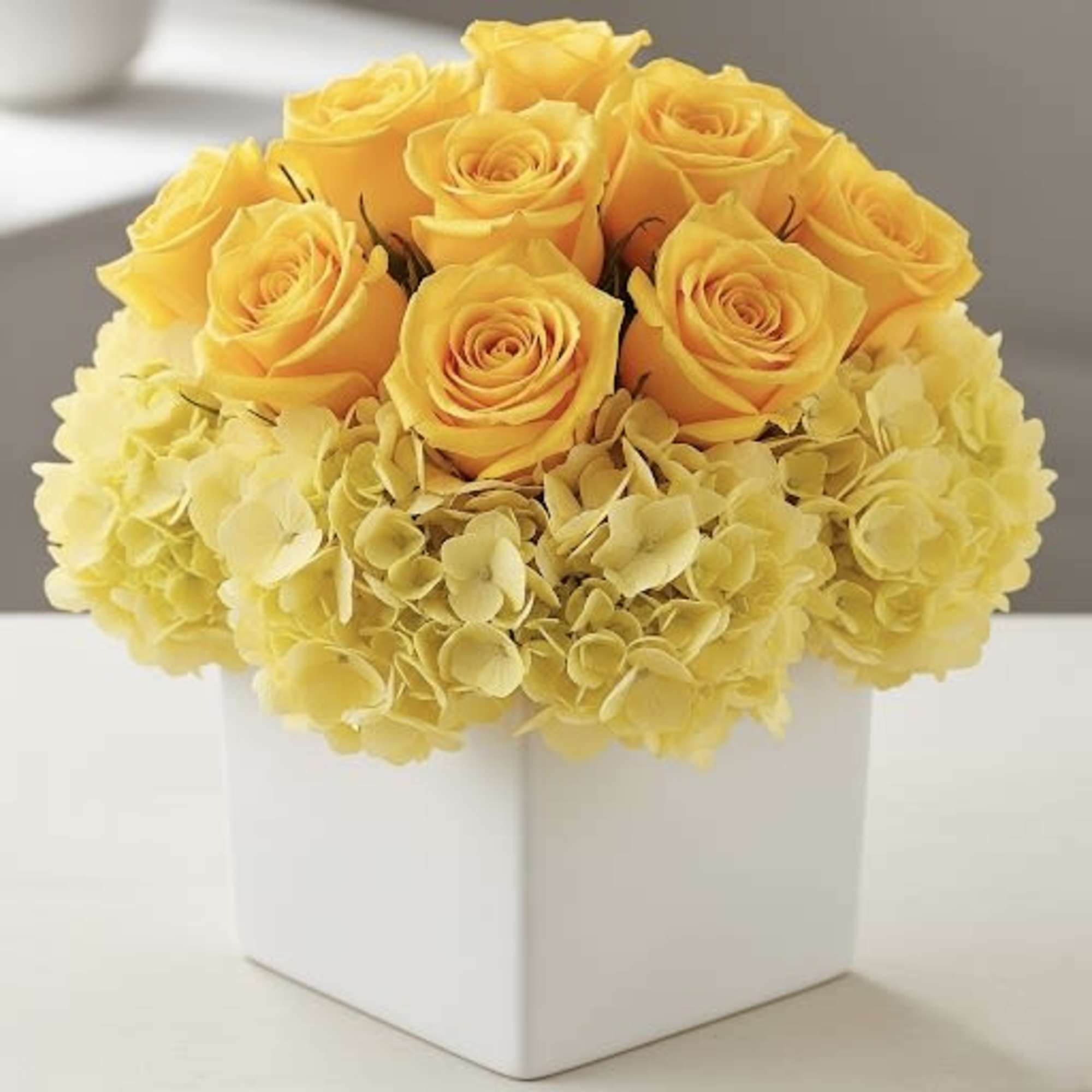 Yellow roses and hydrangeas arranged in a white square vase