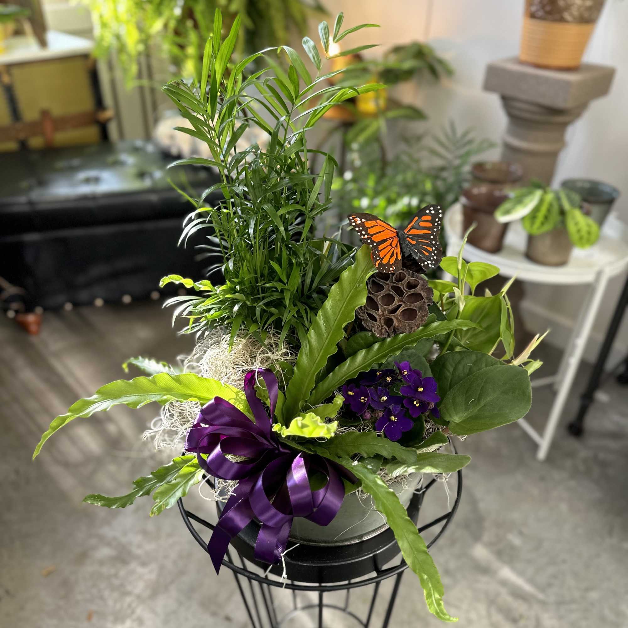 Potted green plant arrangement with purple flowers and a ribbon bow