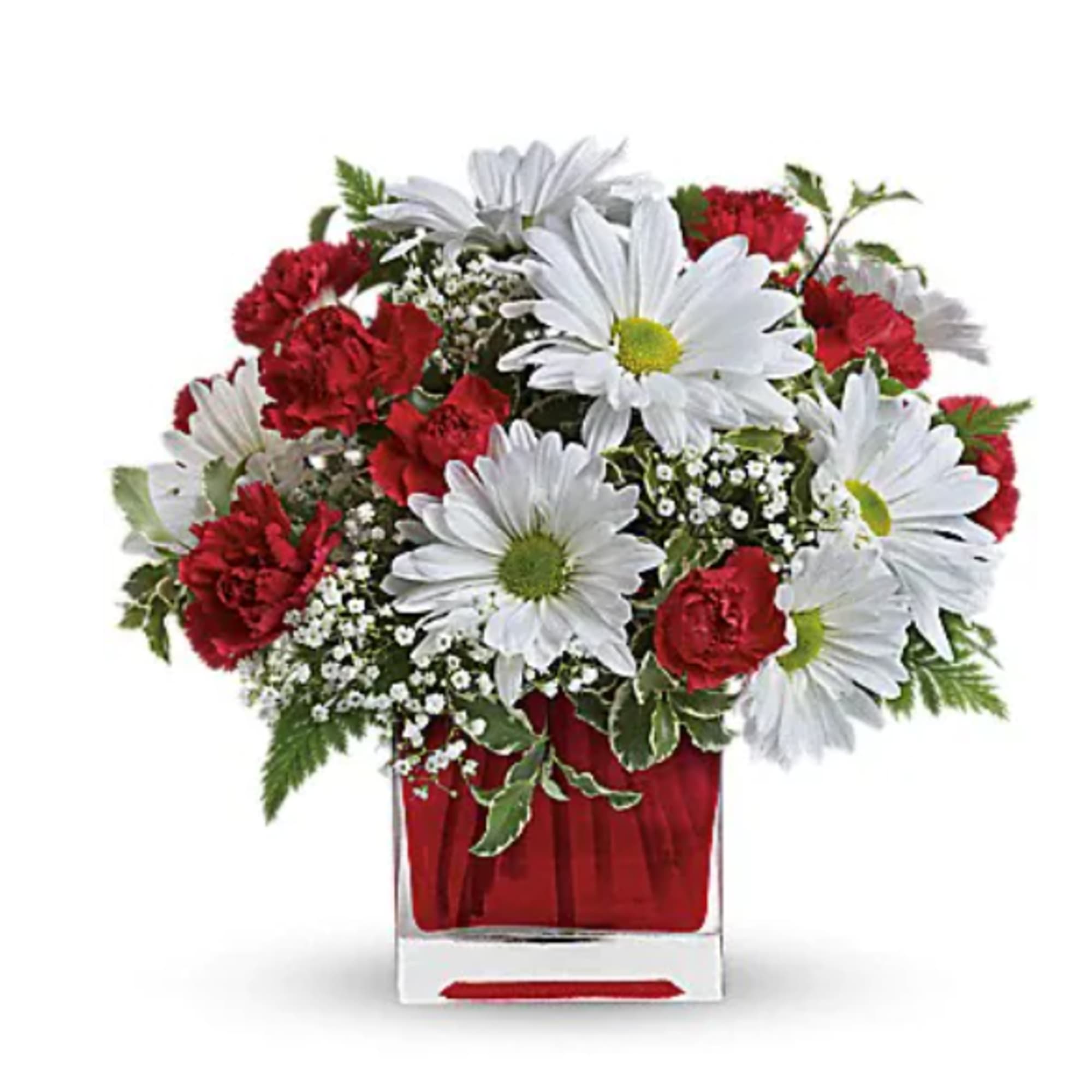 Red carnations and white daisies in a square glass vase