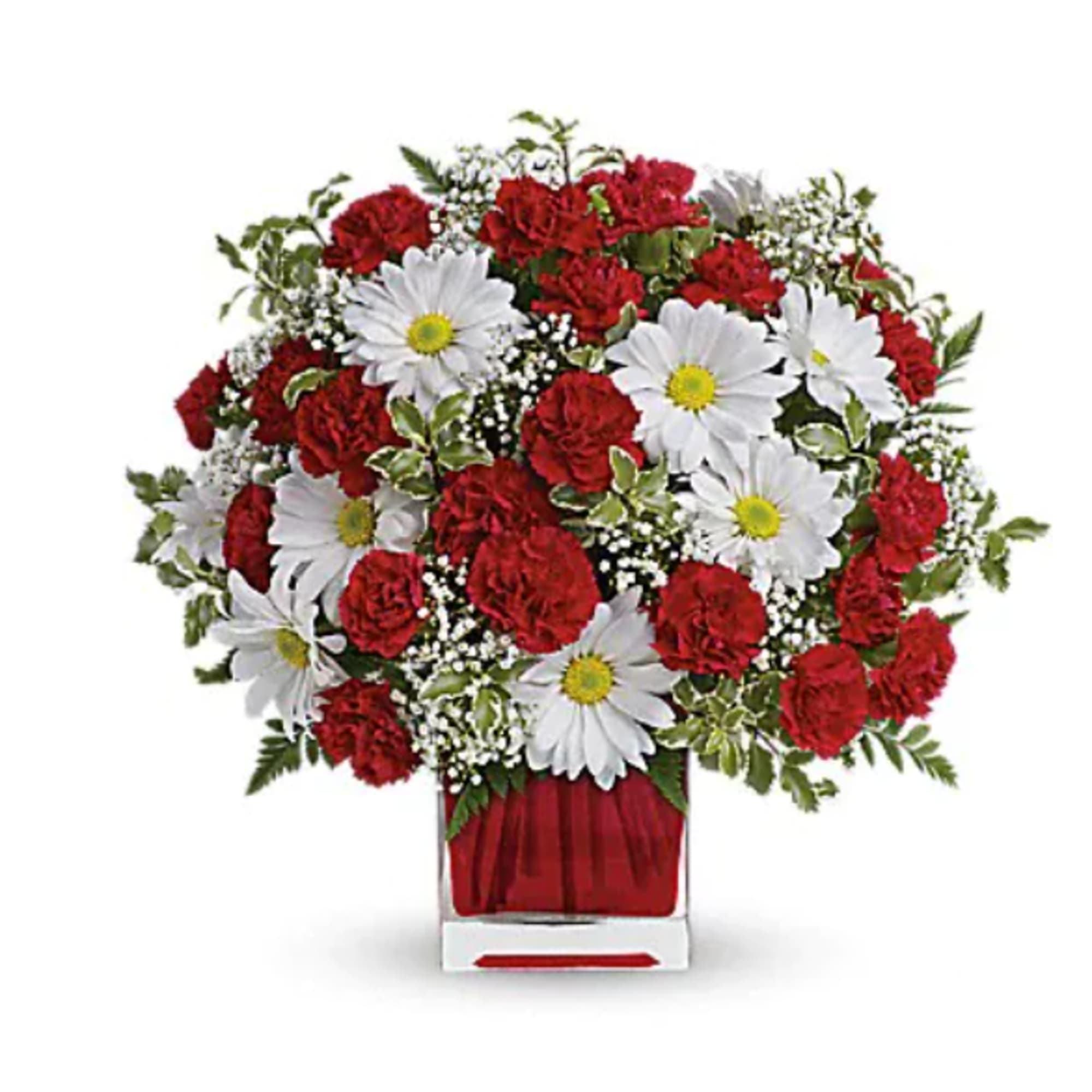 Red carnations and white daisies in a clear square vase