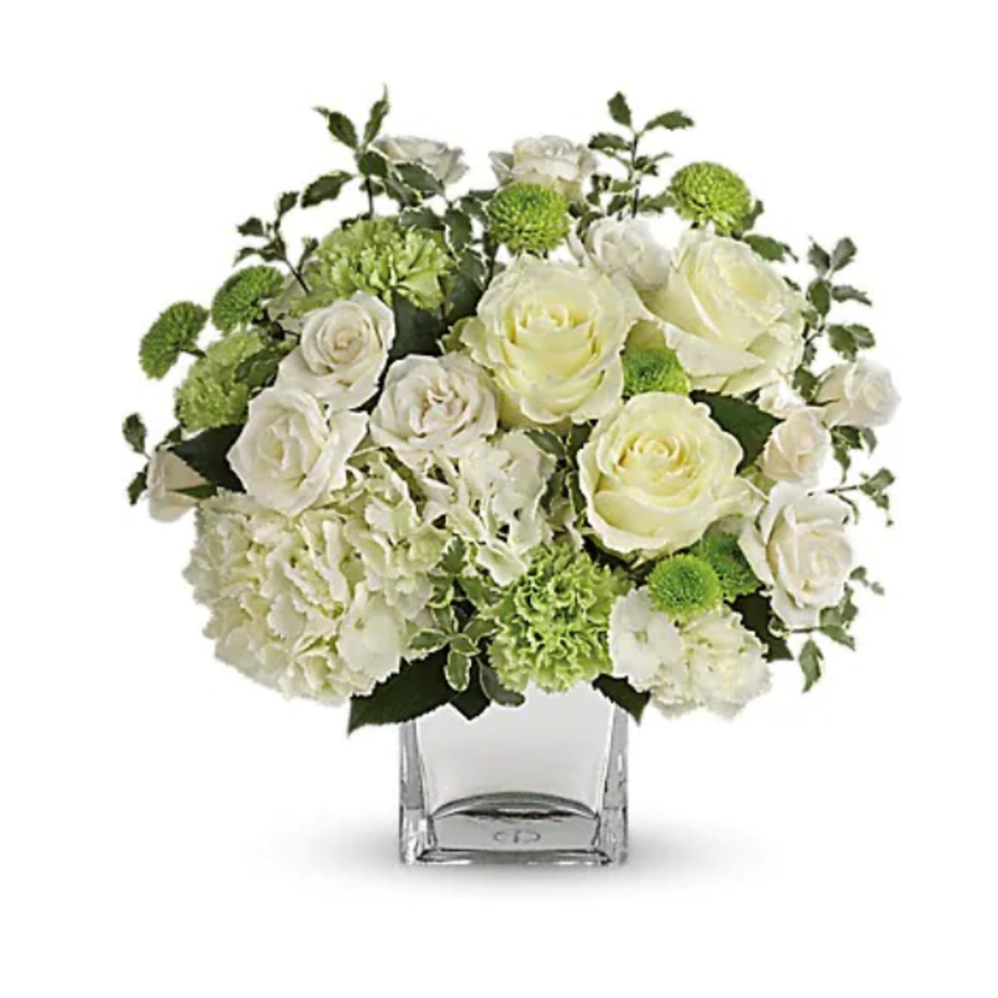 White roses and green pompons in a clear square vase