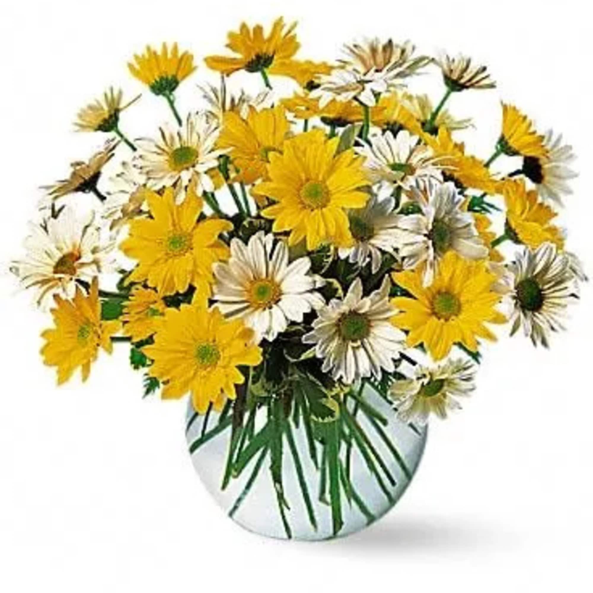 Send these bright and joyful daisies and that special someone's heart will