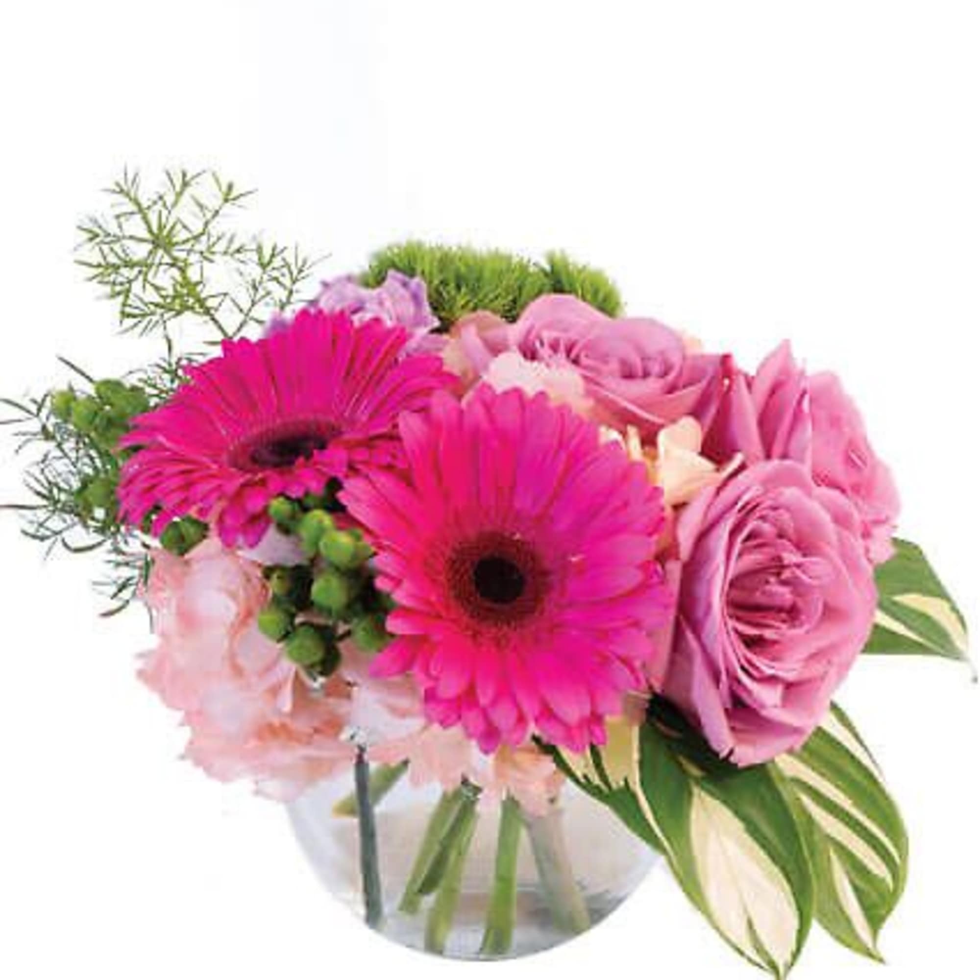 Pink Amore is a beautiful way to show your friendship and devotion.