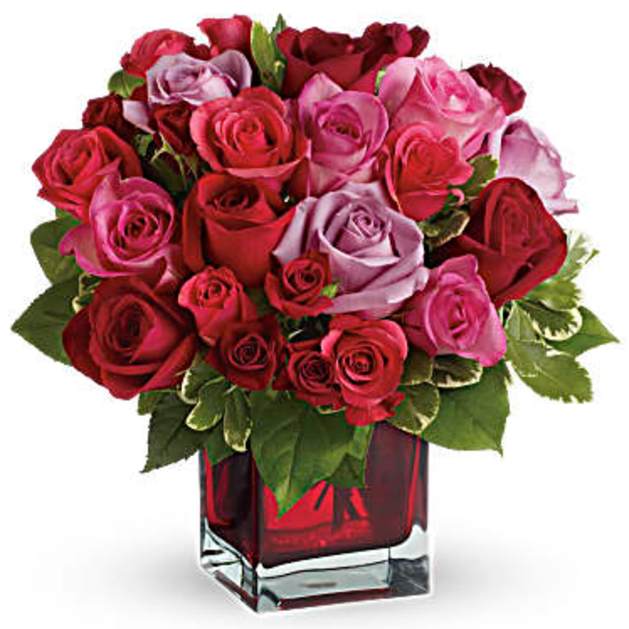 Bouquet of red and pink roses in a square glass vase