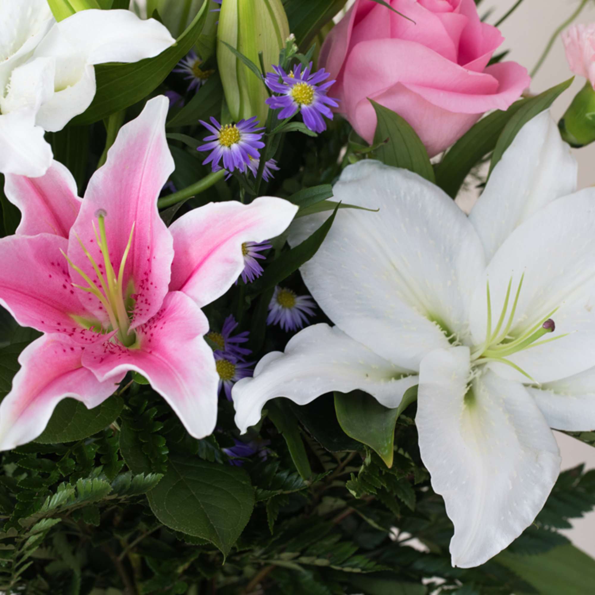 Close-up of pink and white lilies with a pink rose and small purple asters in a mixed bouquet.