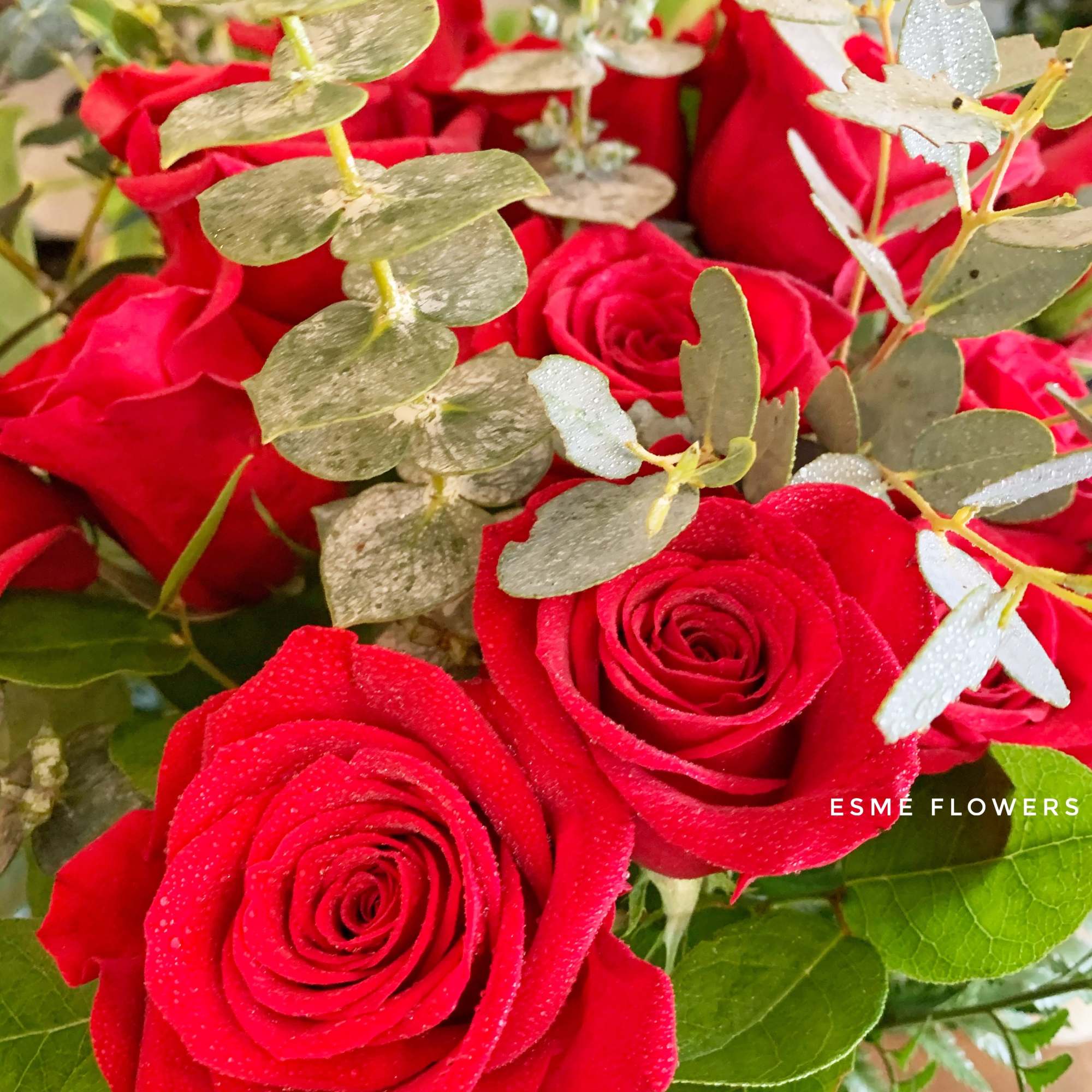 Close-up bouquet of red roses with eucalyptus foliage