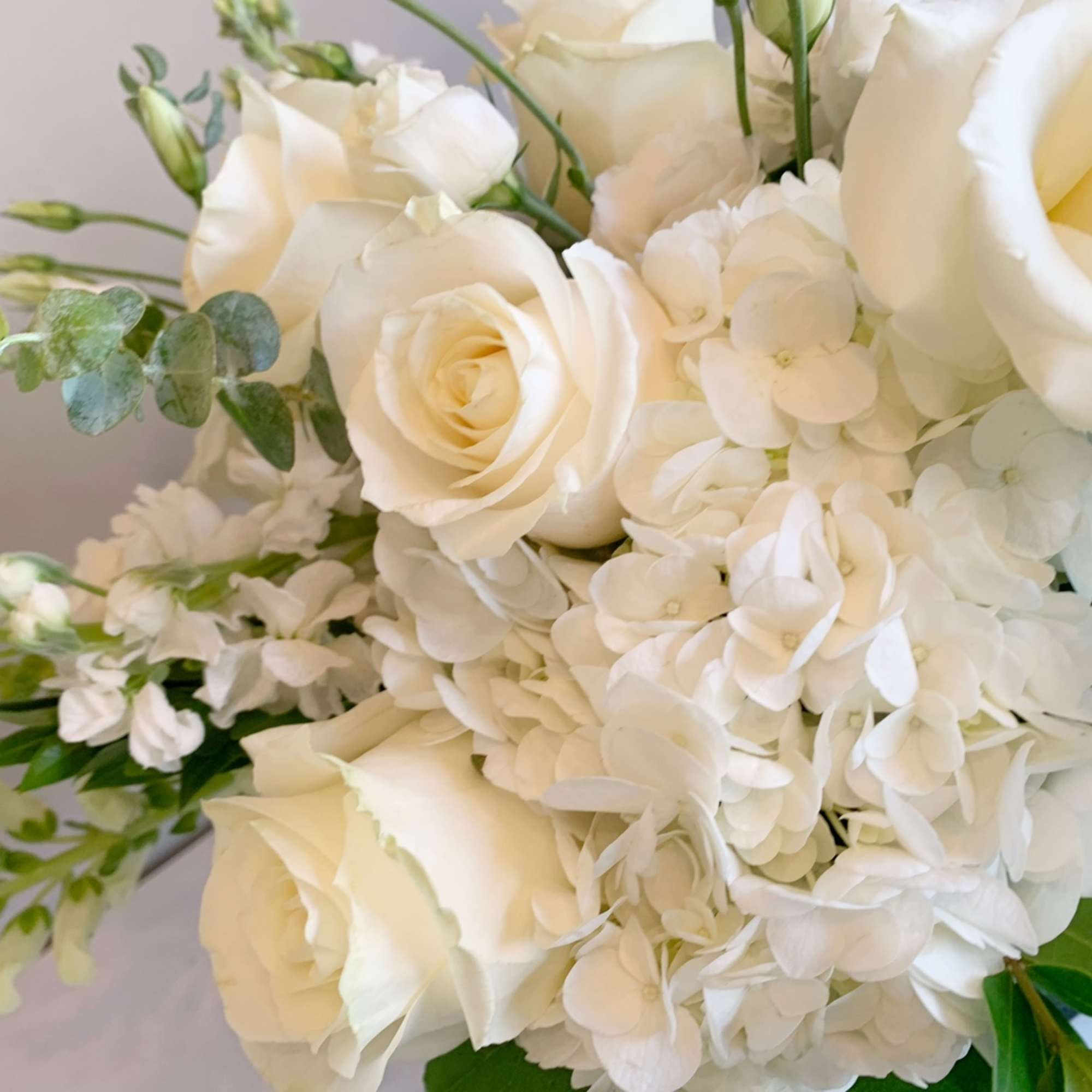 White roses and hydrangeas in a close-up bouquet