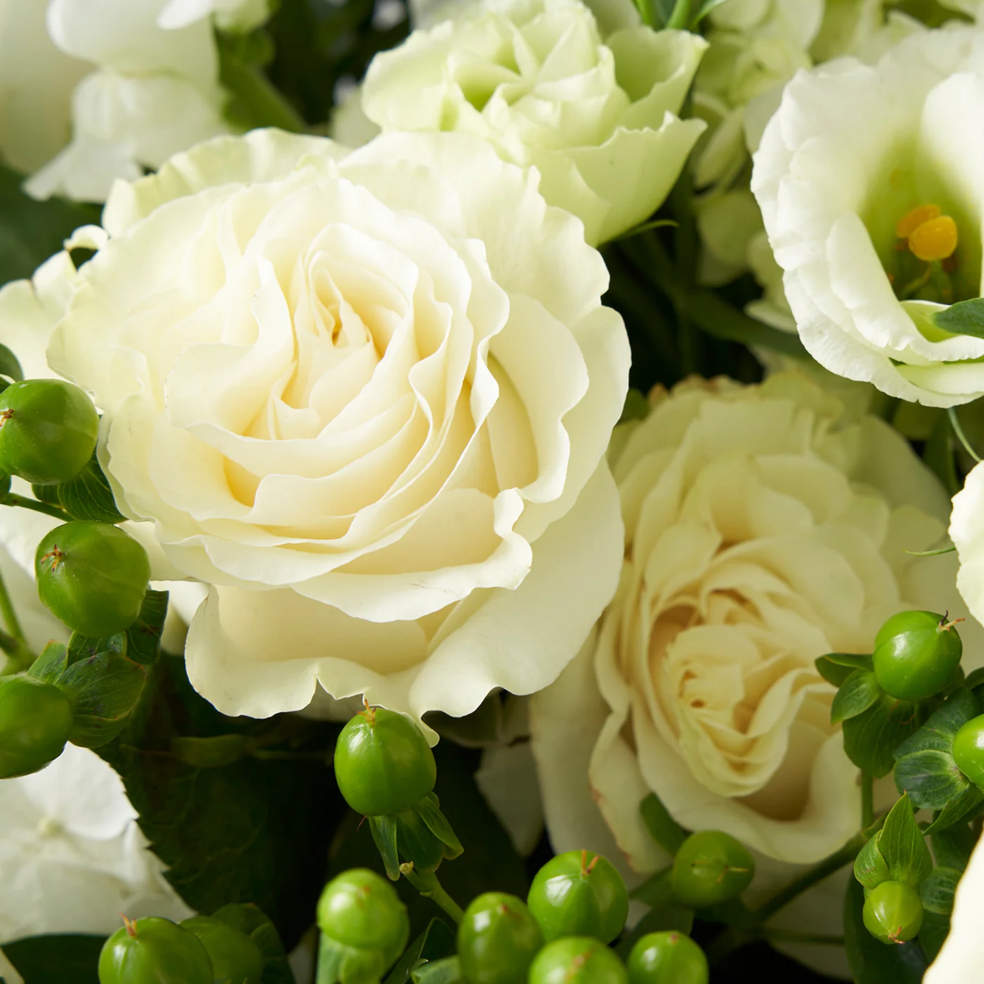 Close-up of cream roses with green berry accents