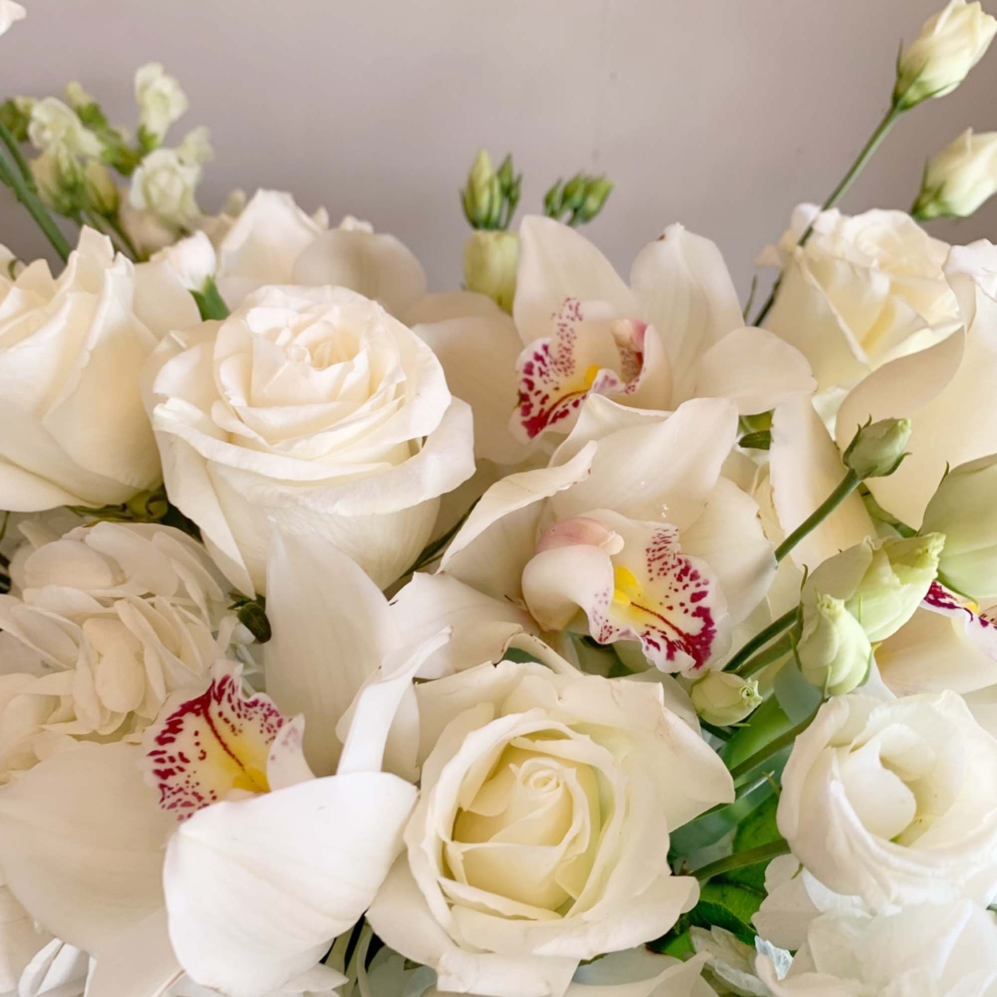 White roses and orchids in a close-up bouquet