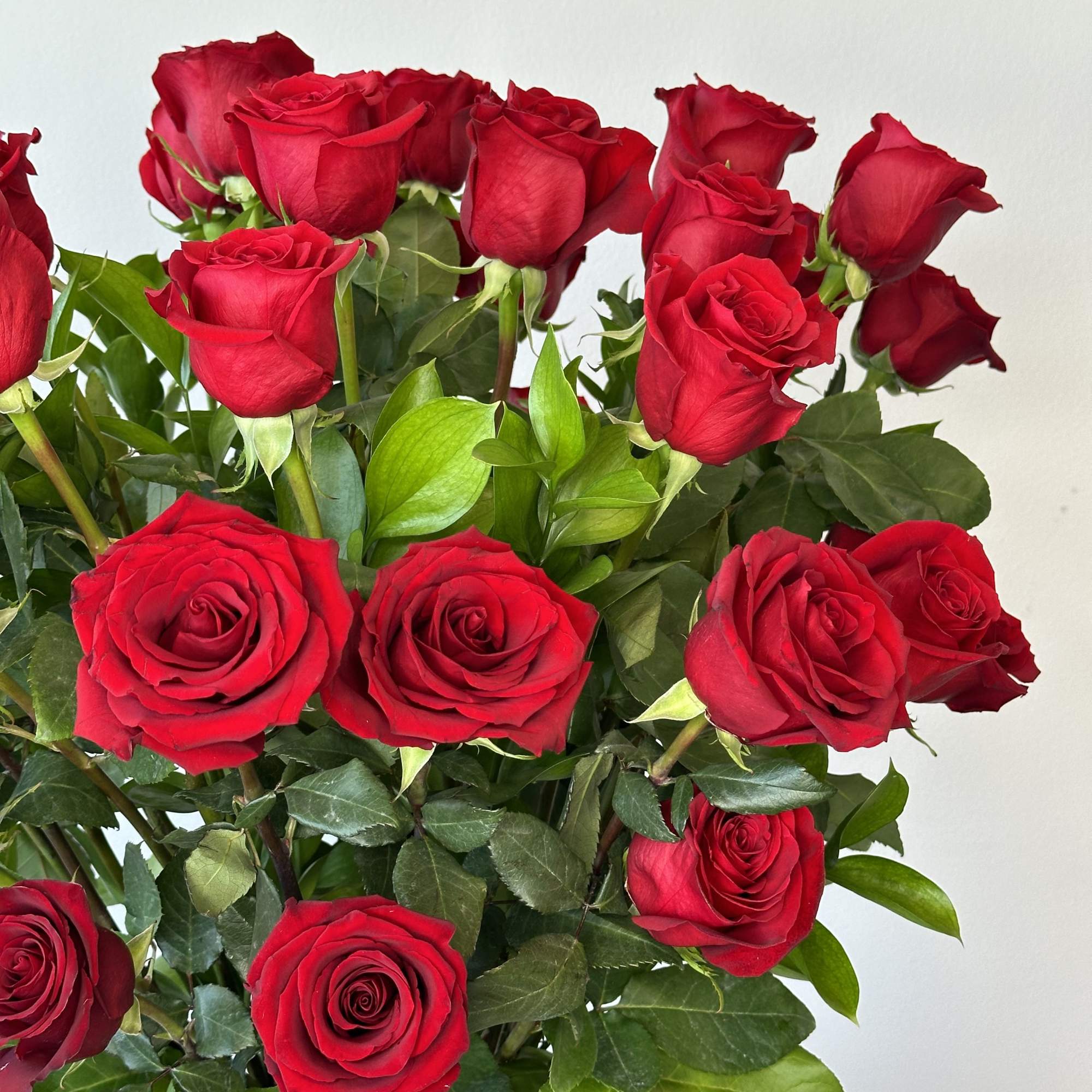 Bouquet of red roses with green foliage