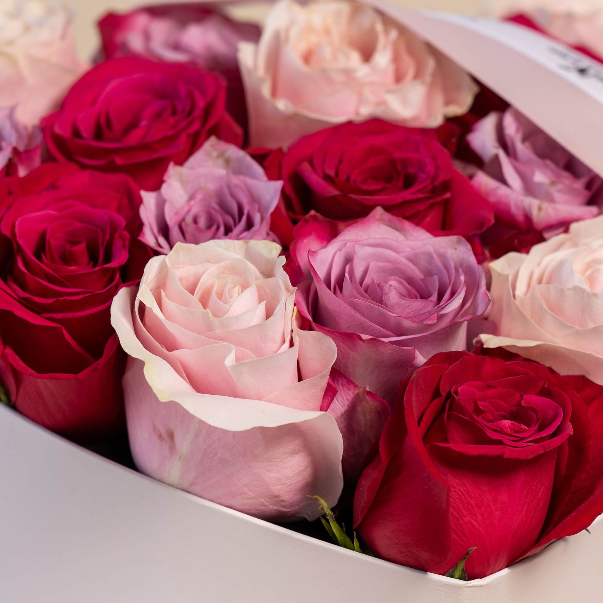 Box of pink, red, and lavender roses