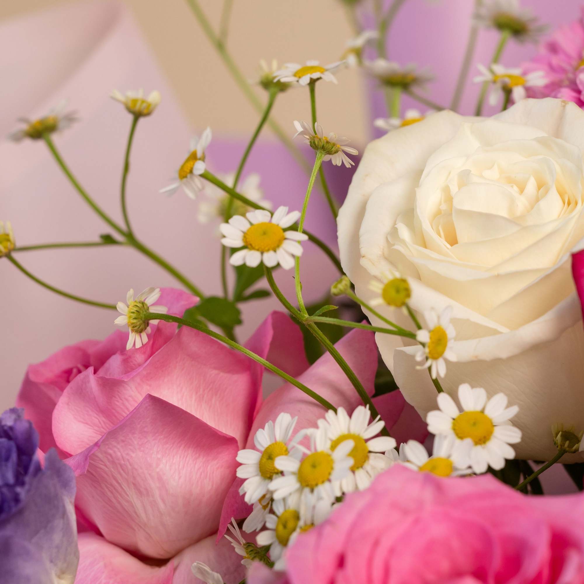 Like the first light of morning, Blossom at Dawn is a bouquet