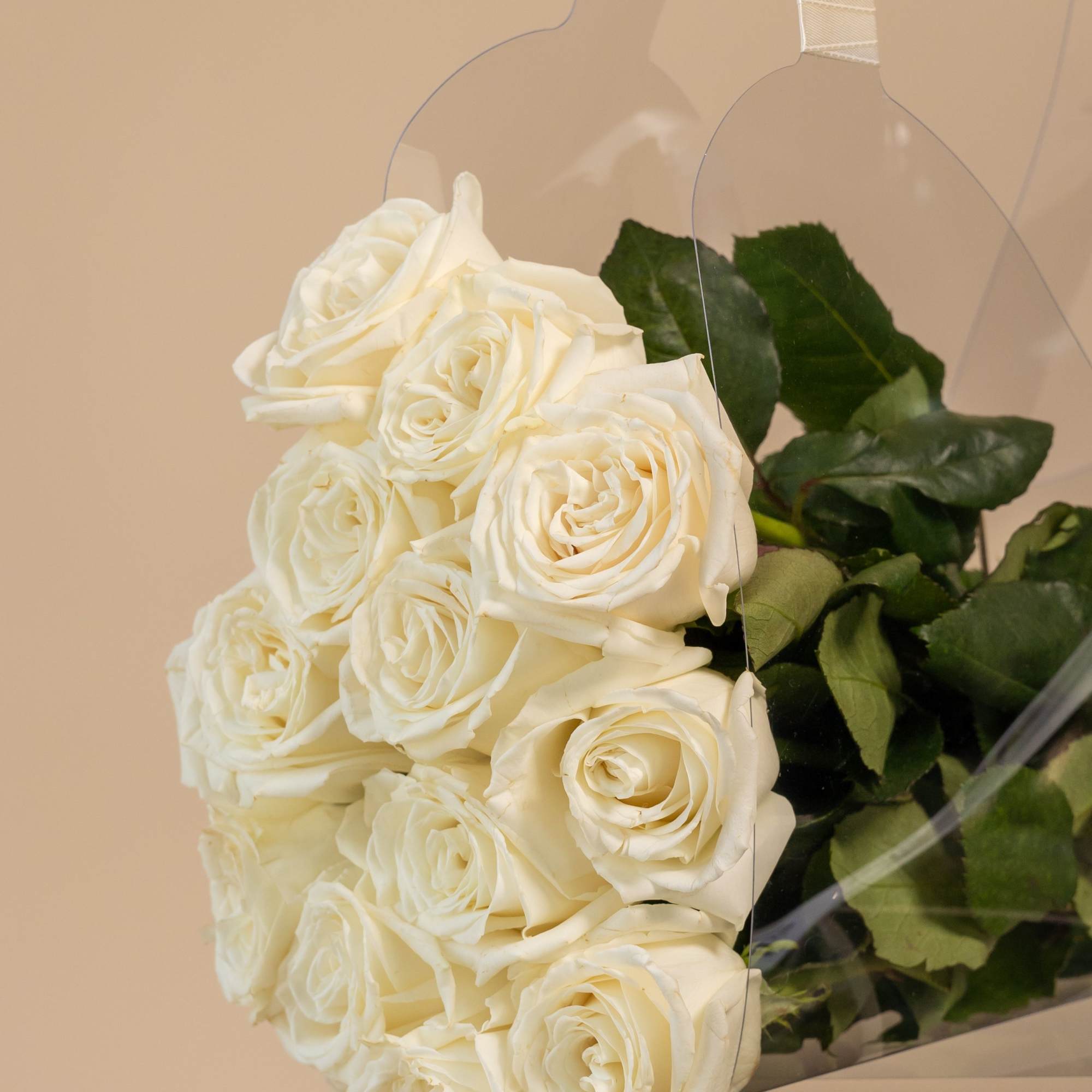 Bouquet of white roses wrapped in clear plastic