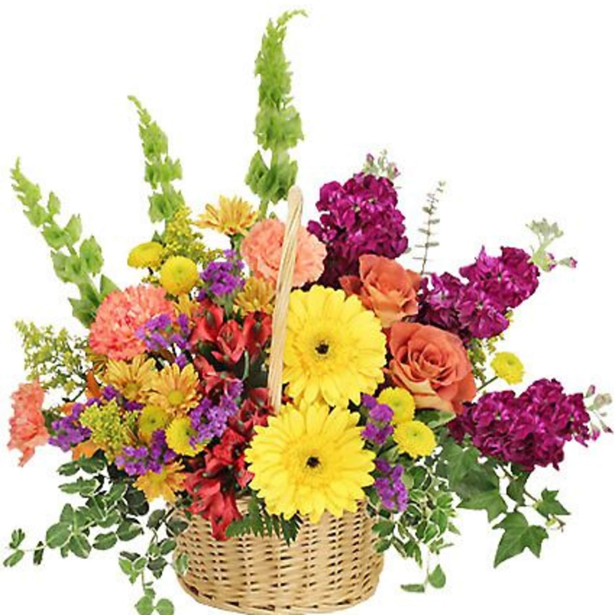 This mesmerizing basket is bursting with color! Featuring sunshine yellow gerberas, terra